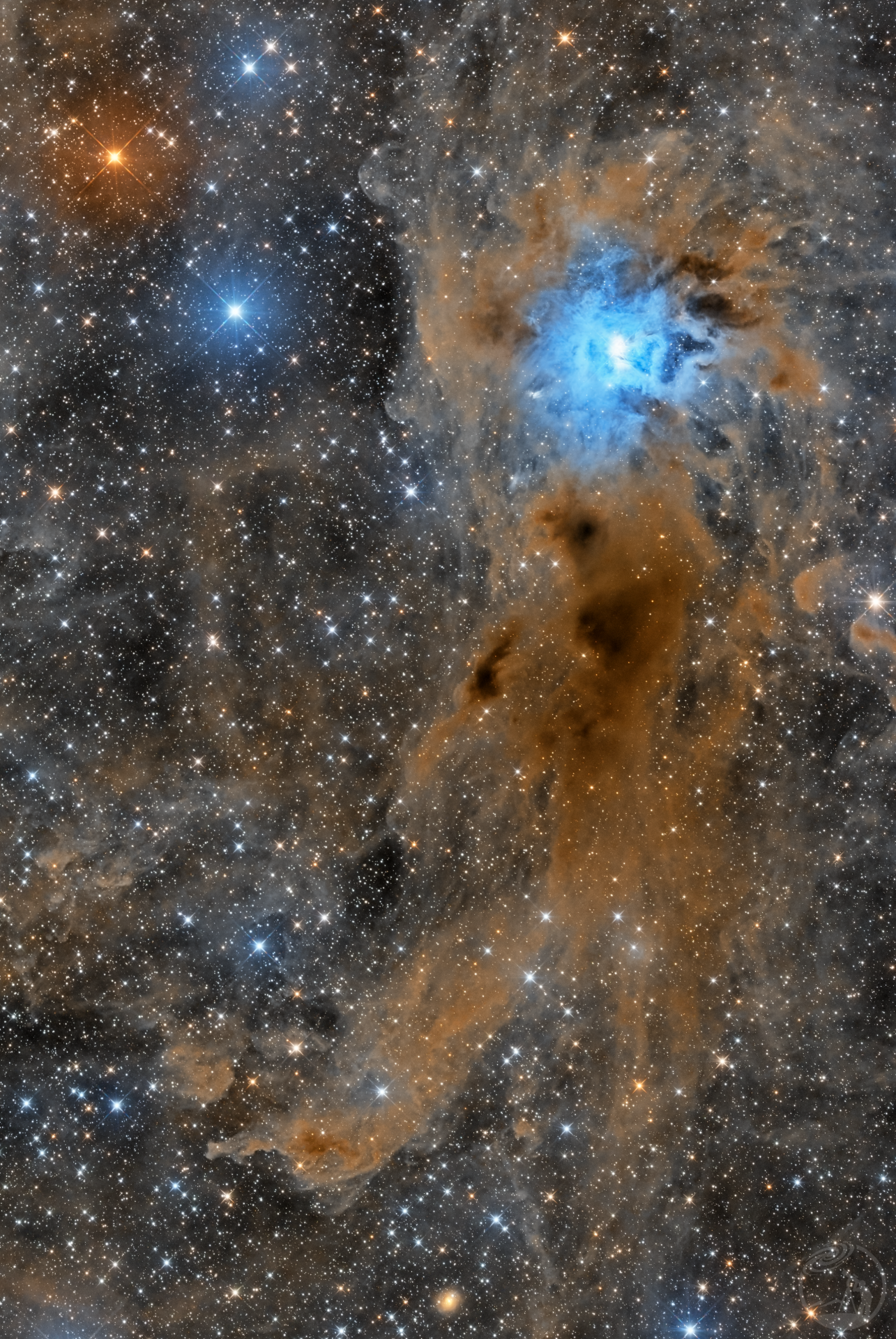 NGC7023鸢尾花
