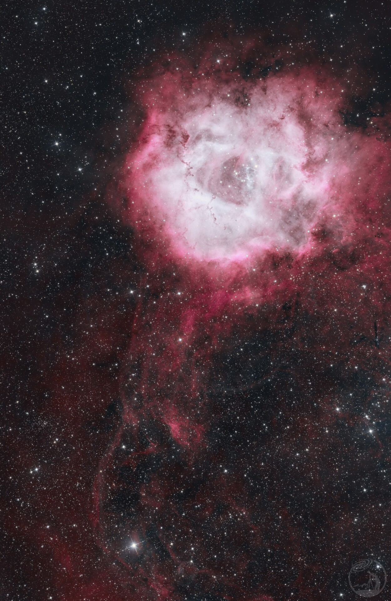 NGC2237带柄玫瑰HOO调色