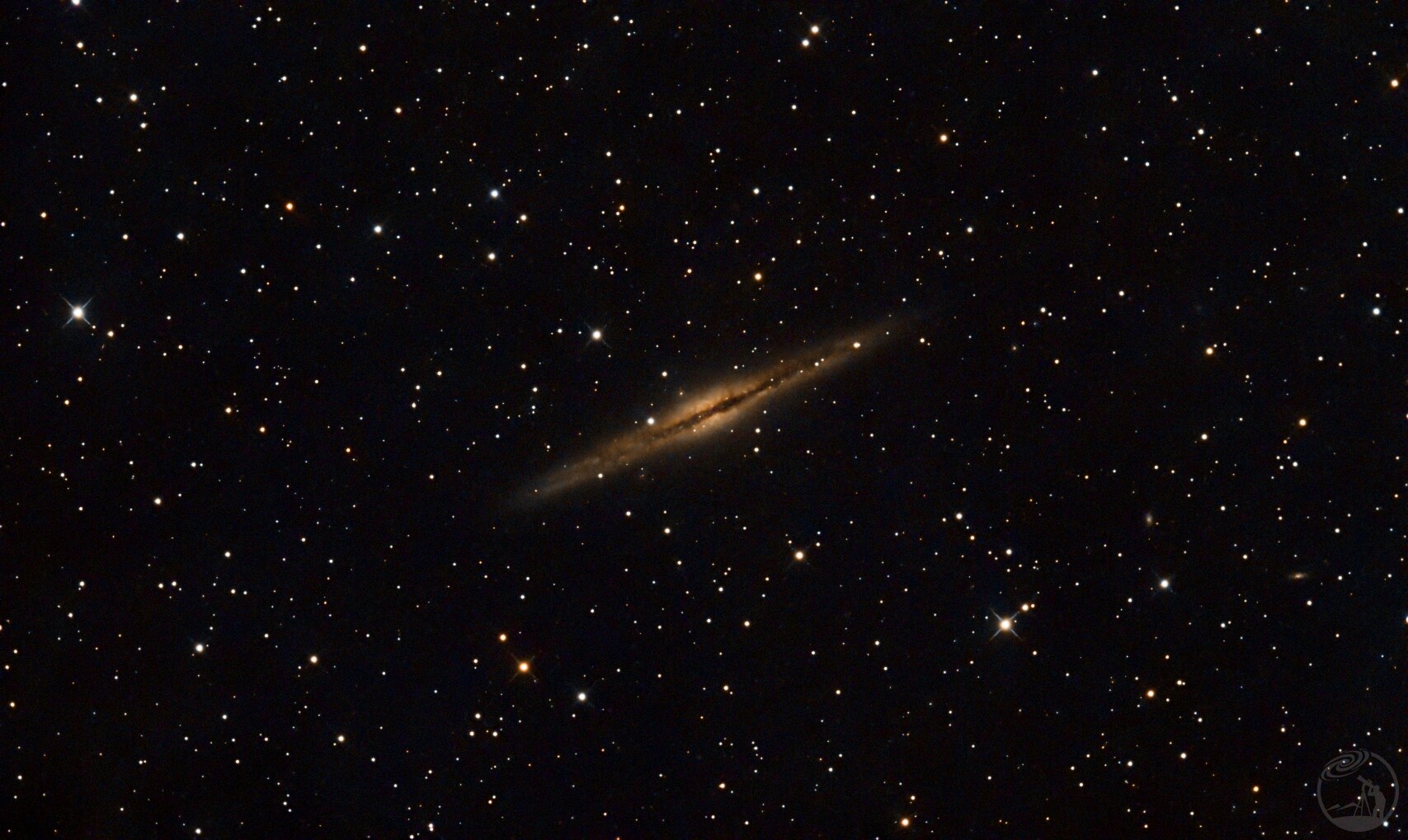 NGC891