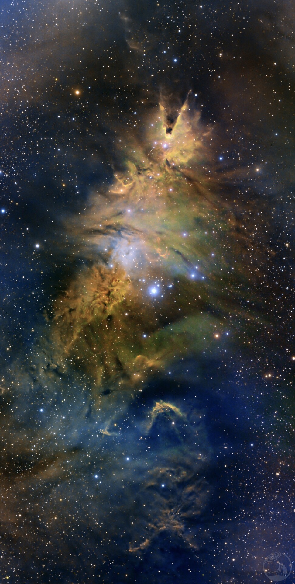 NGC2264