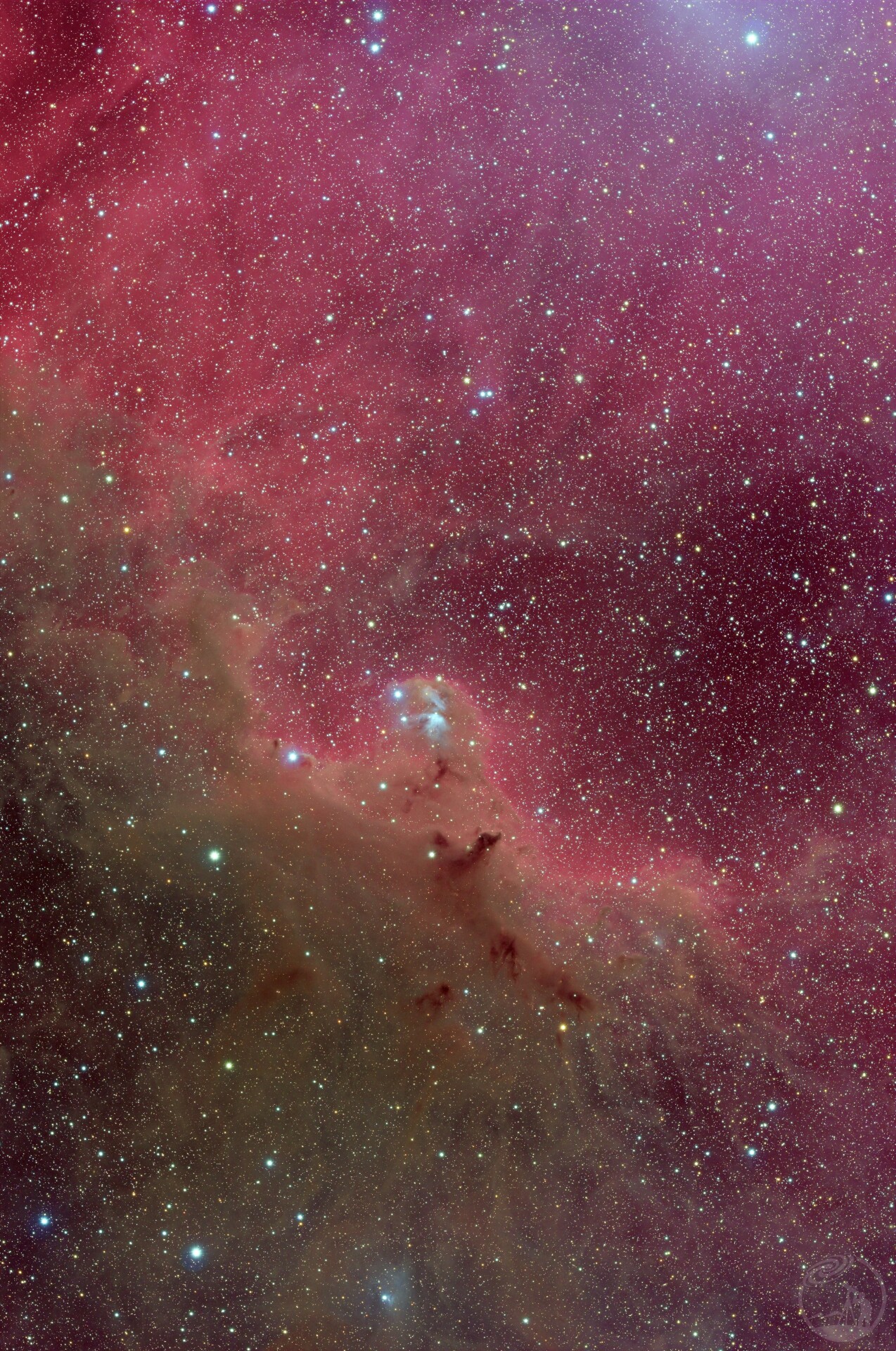 猎户头顶的Cederblad51星云Barnard30/31/32暗云一带
