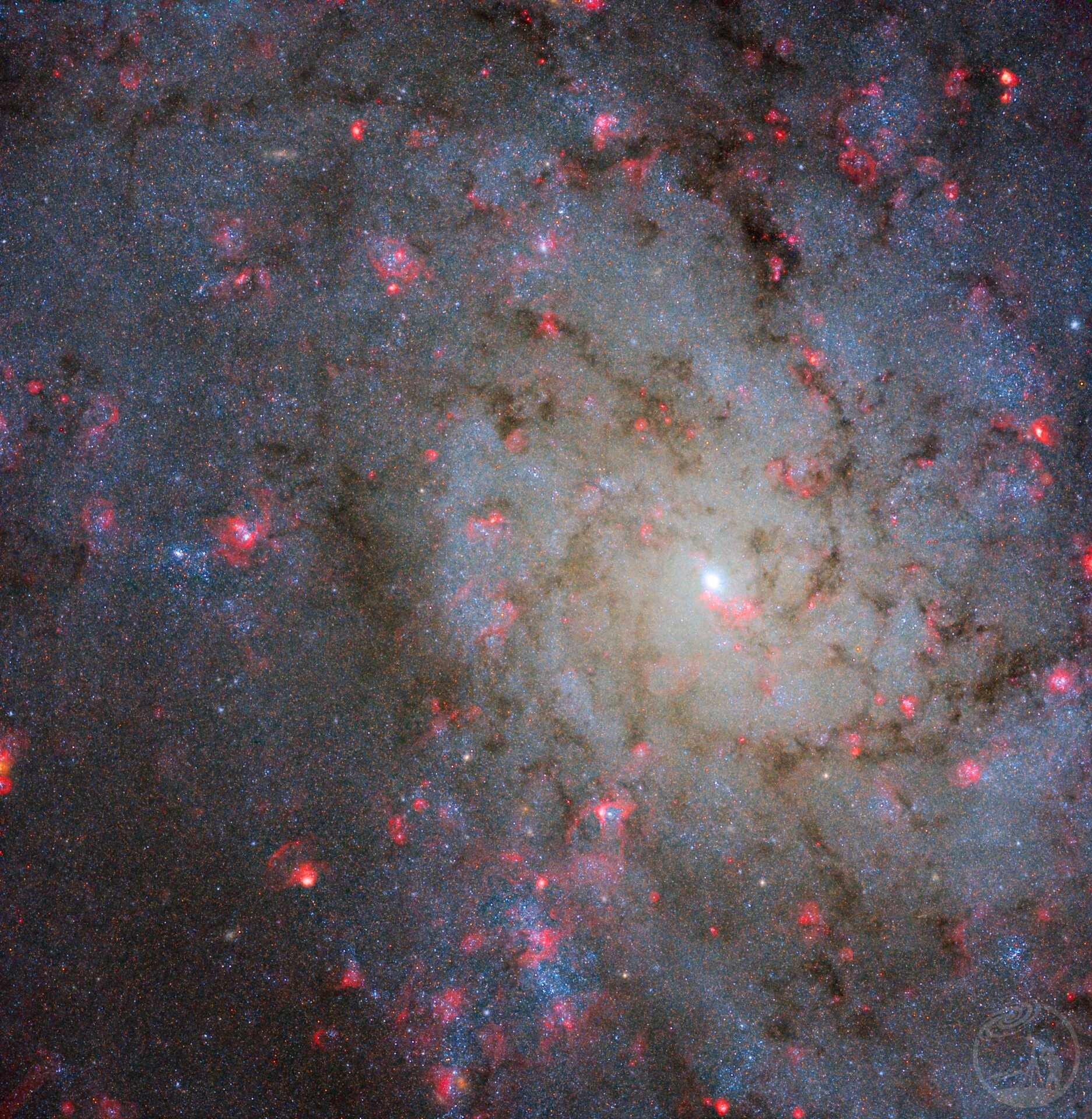 NGC7793-HST