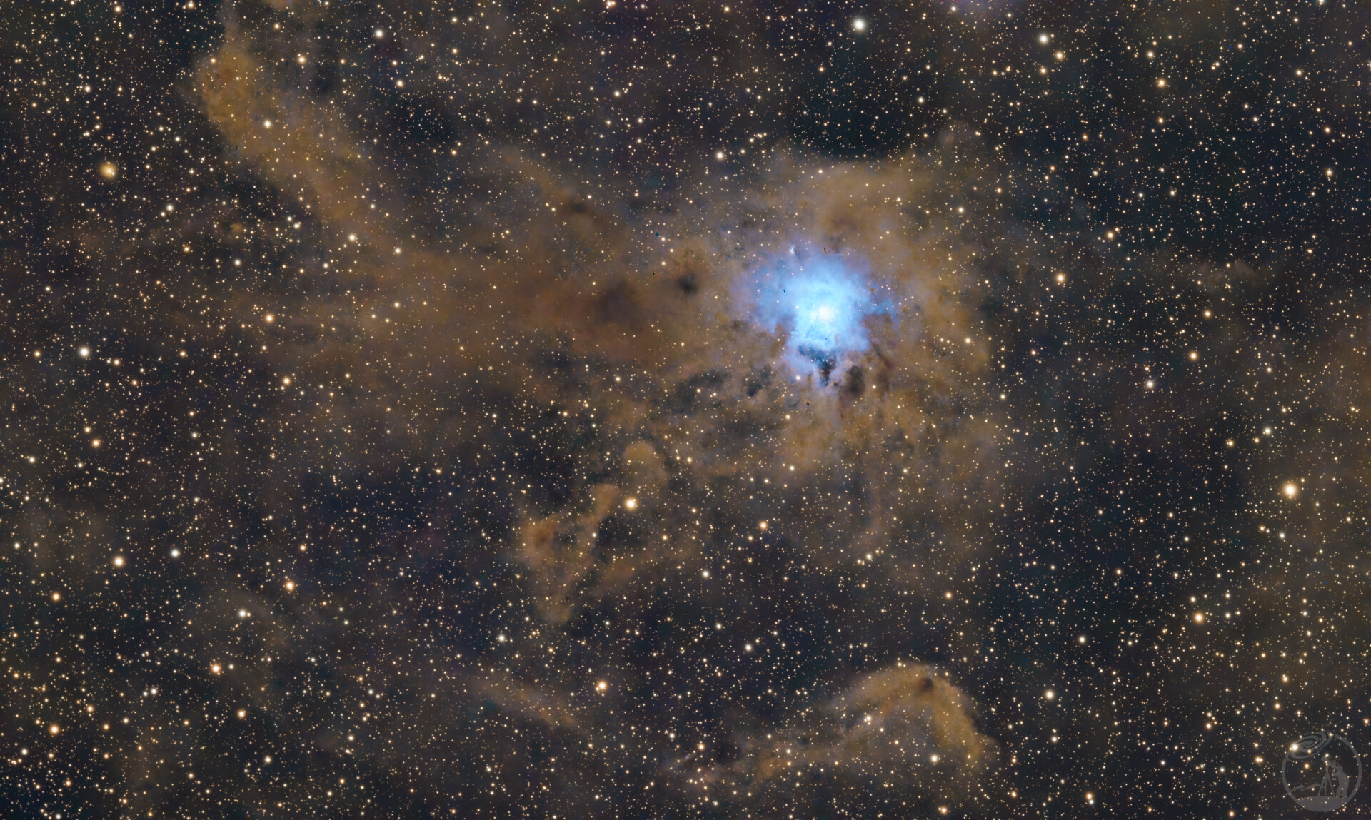 NGC7023鸢尾花