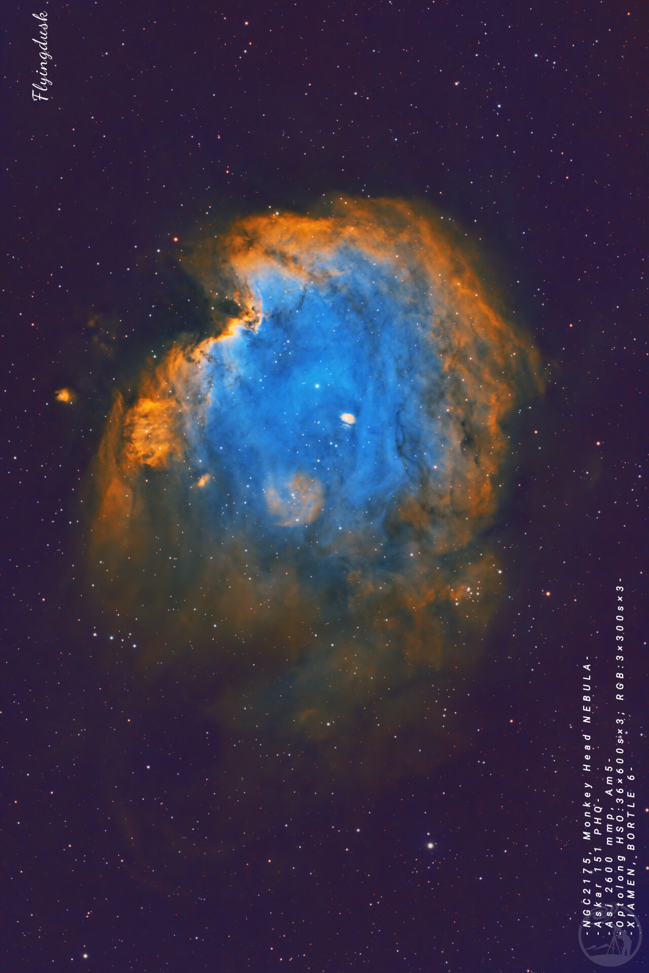 NGC2175 MONKEY HEAD NEBULA猴头星云