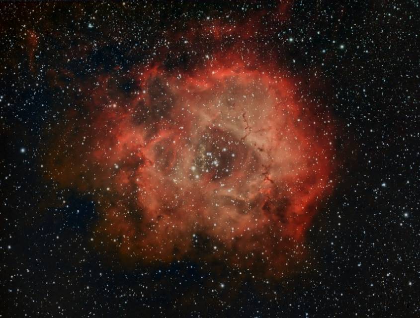 8小时玫瑰双窄带