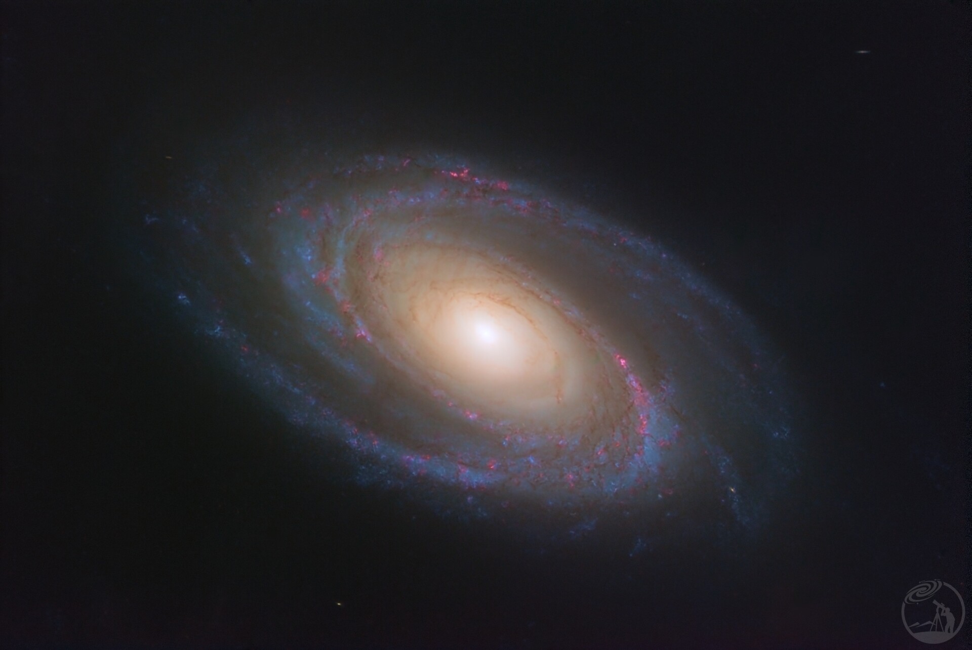 M81