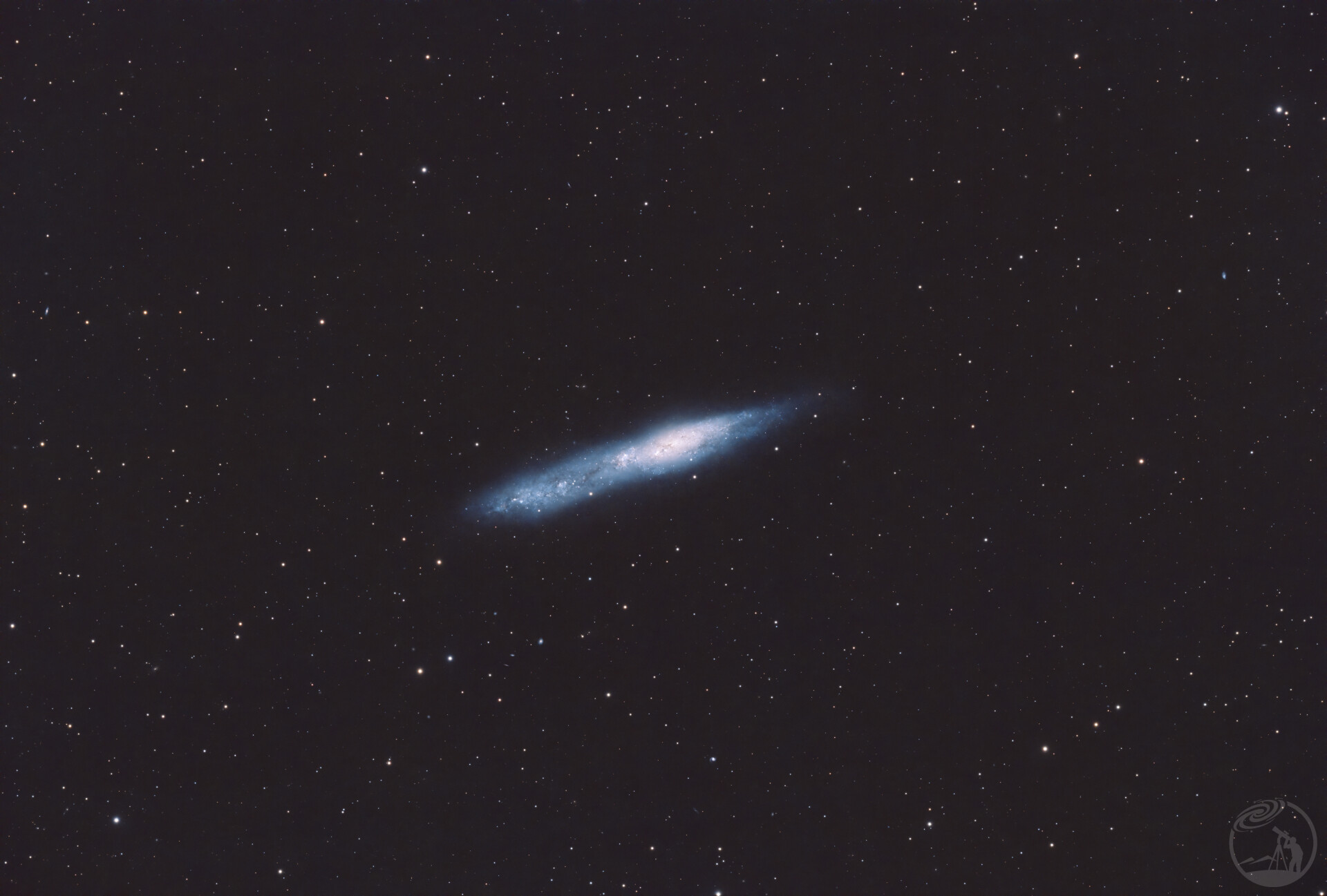 南鲸鱼NGC55