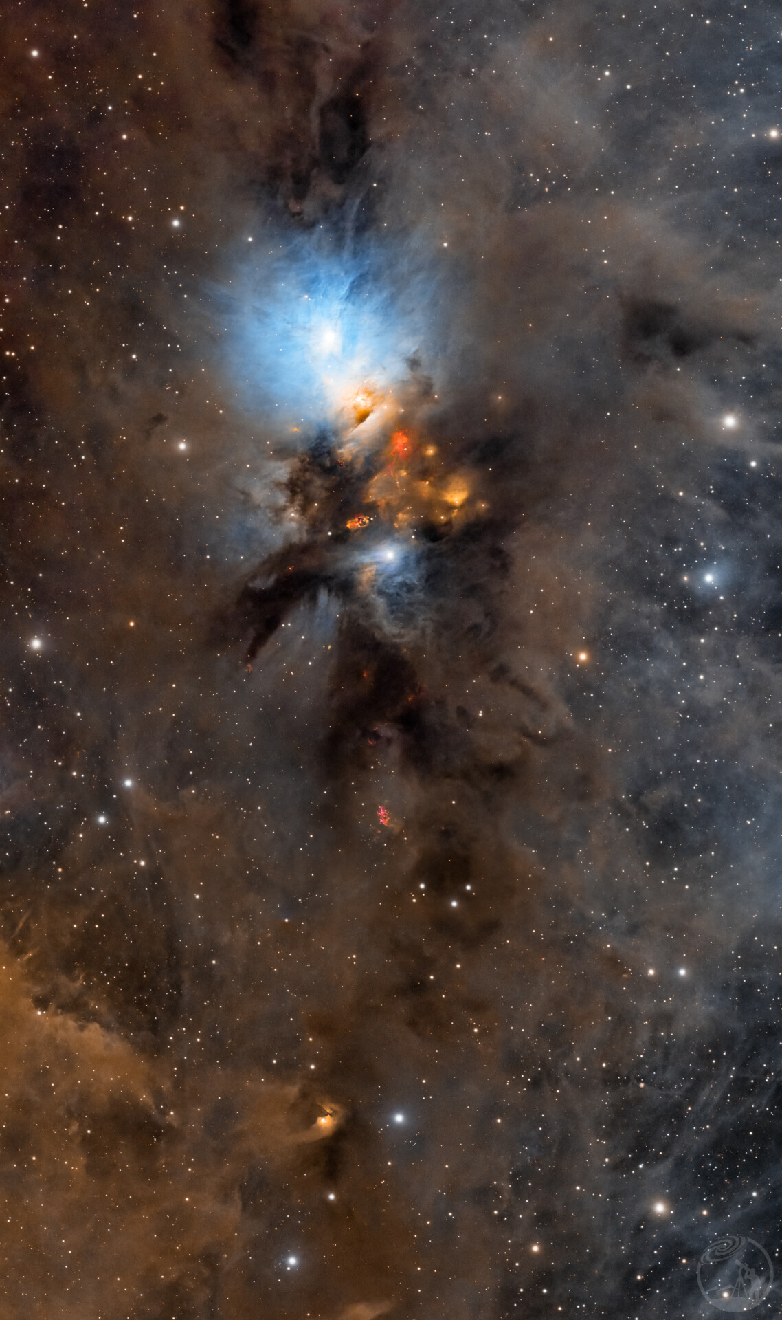 NGC1333