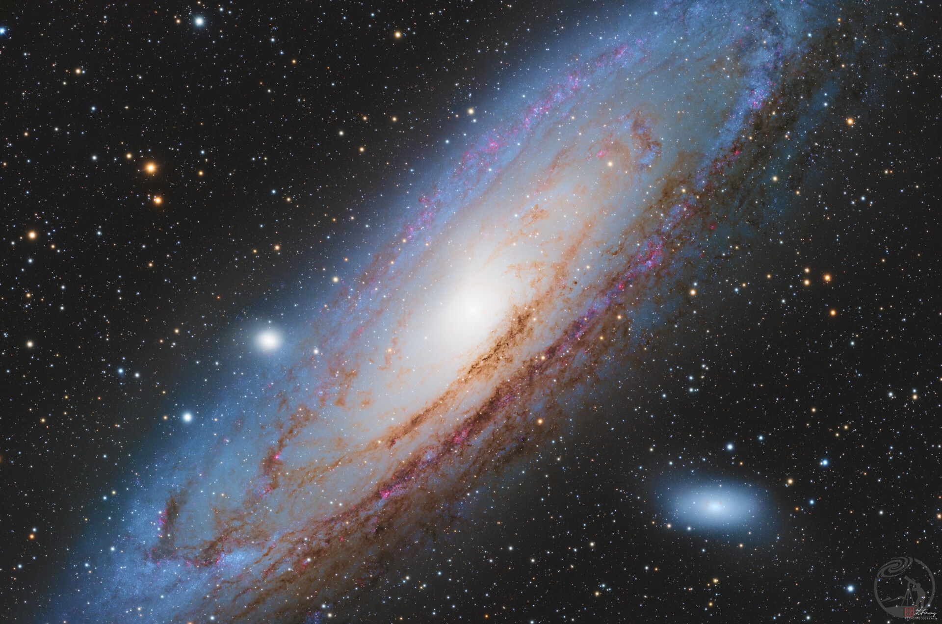 M31