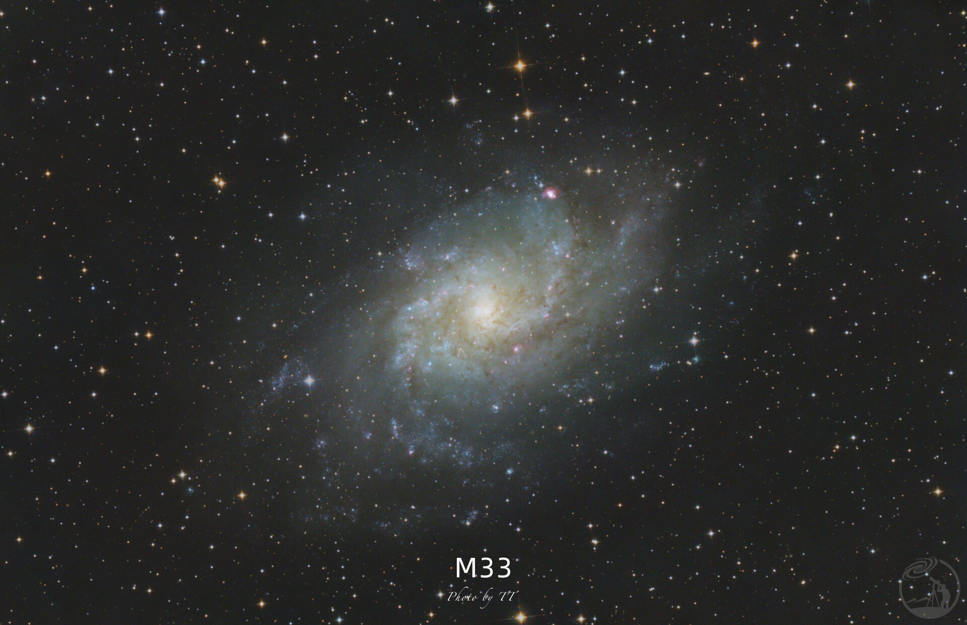 M33
