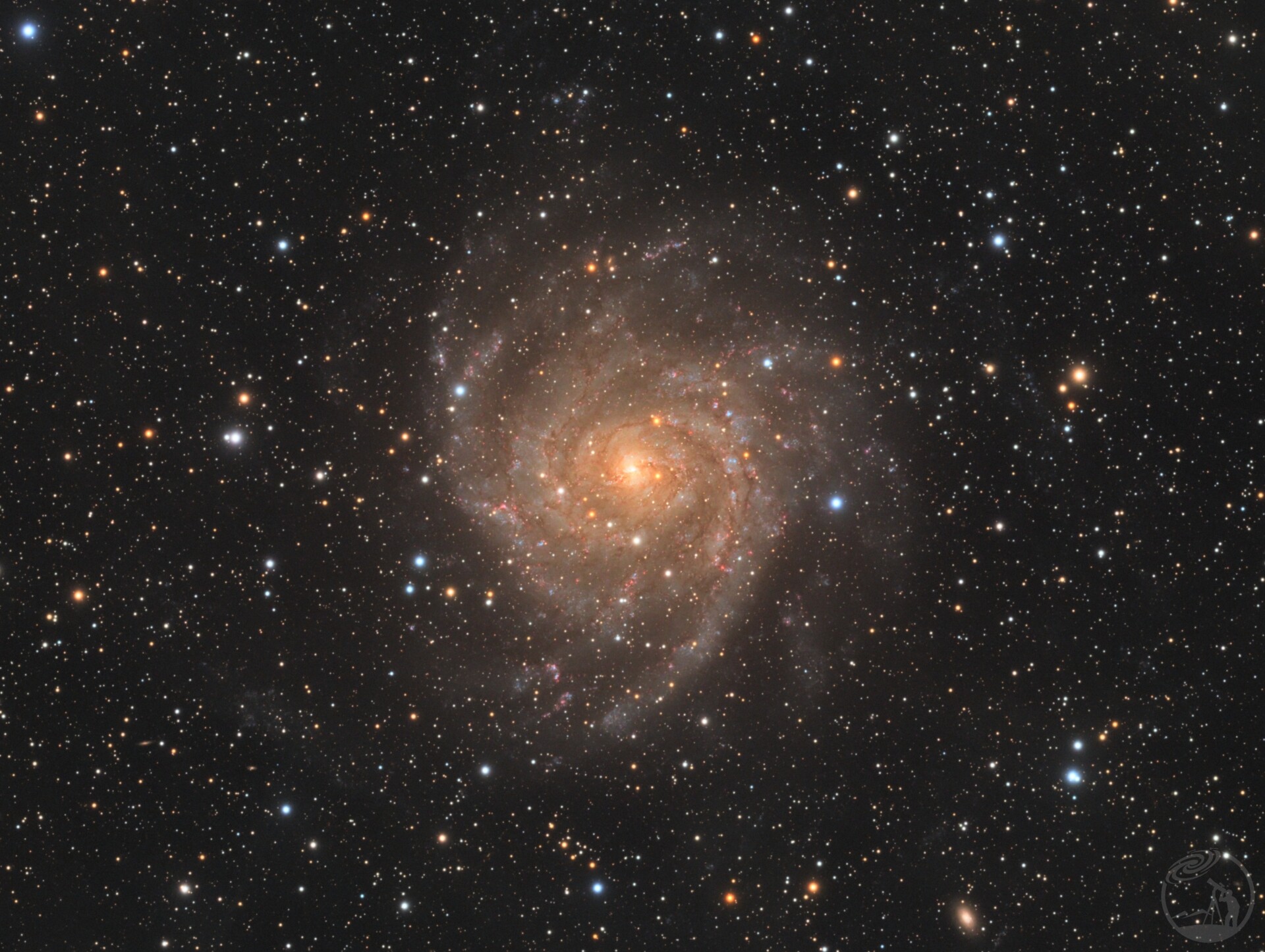 IC 342