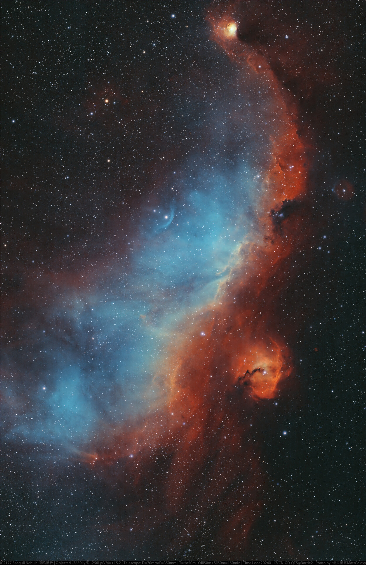 IC2177 Seagull Nebula 海鸥星云