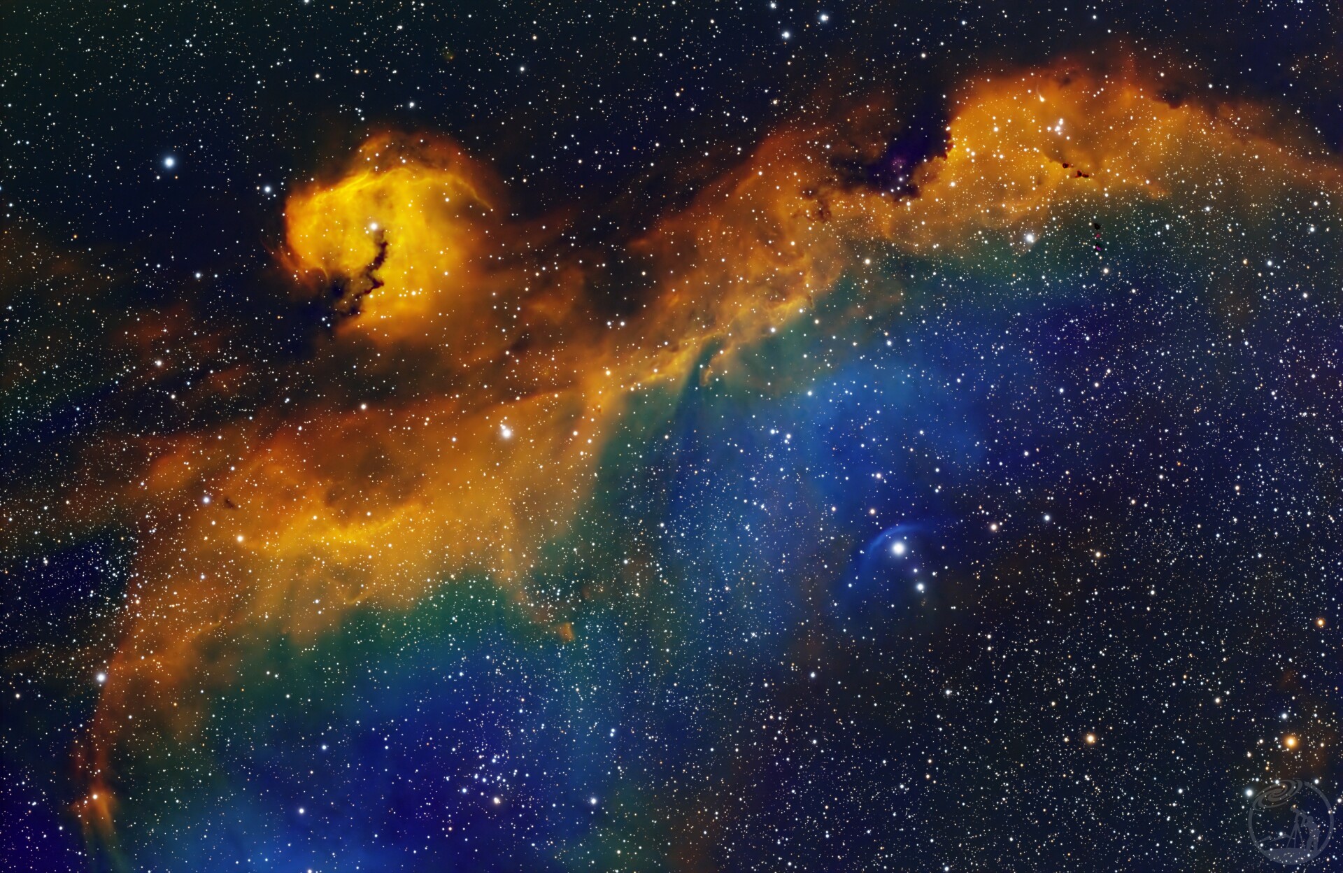 IC2177 海鸥星云
