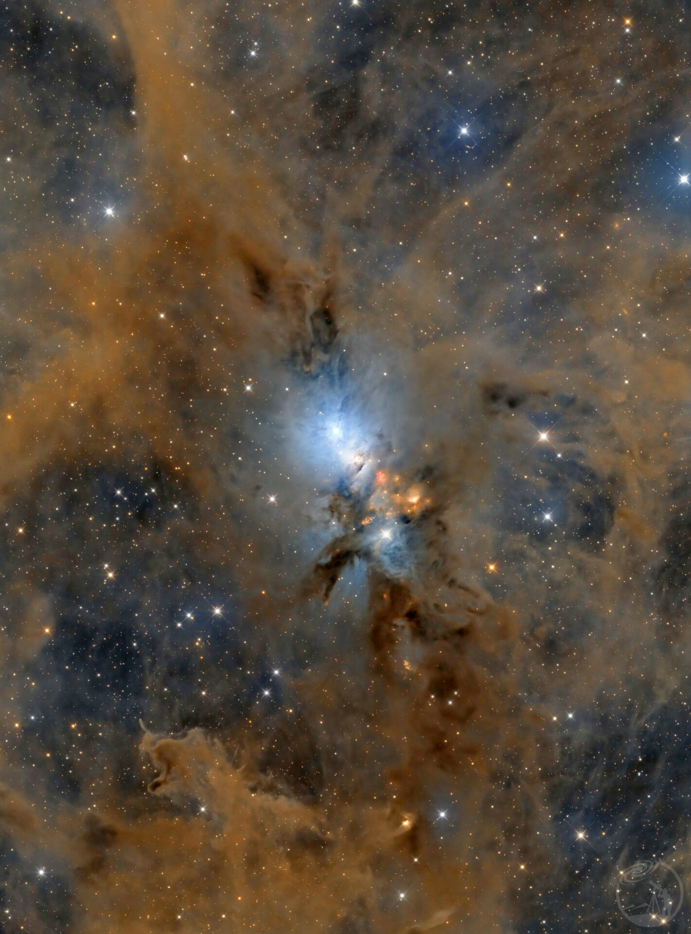 NGC1333胚胎星云