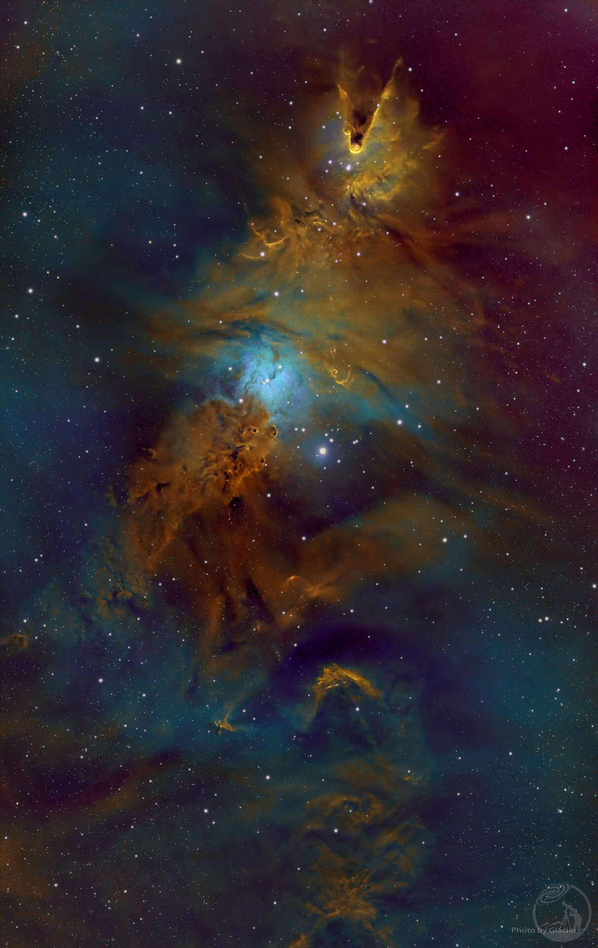 圣诞树NGC2264