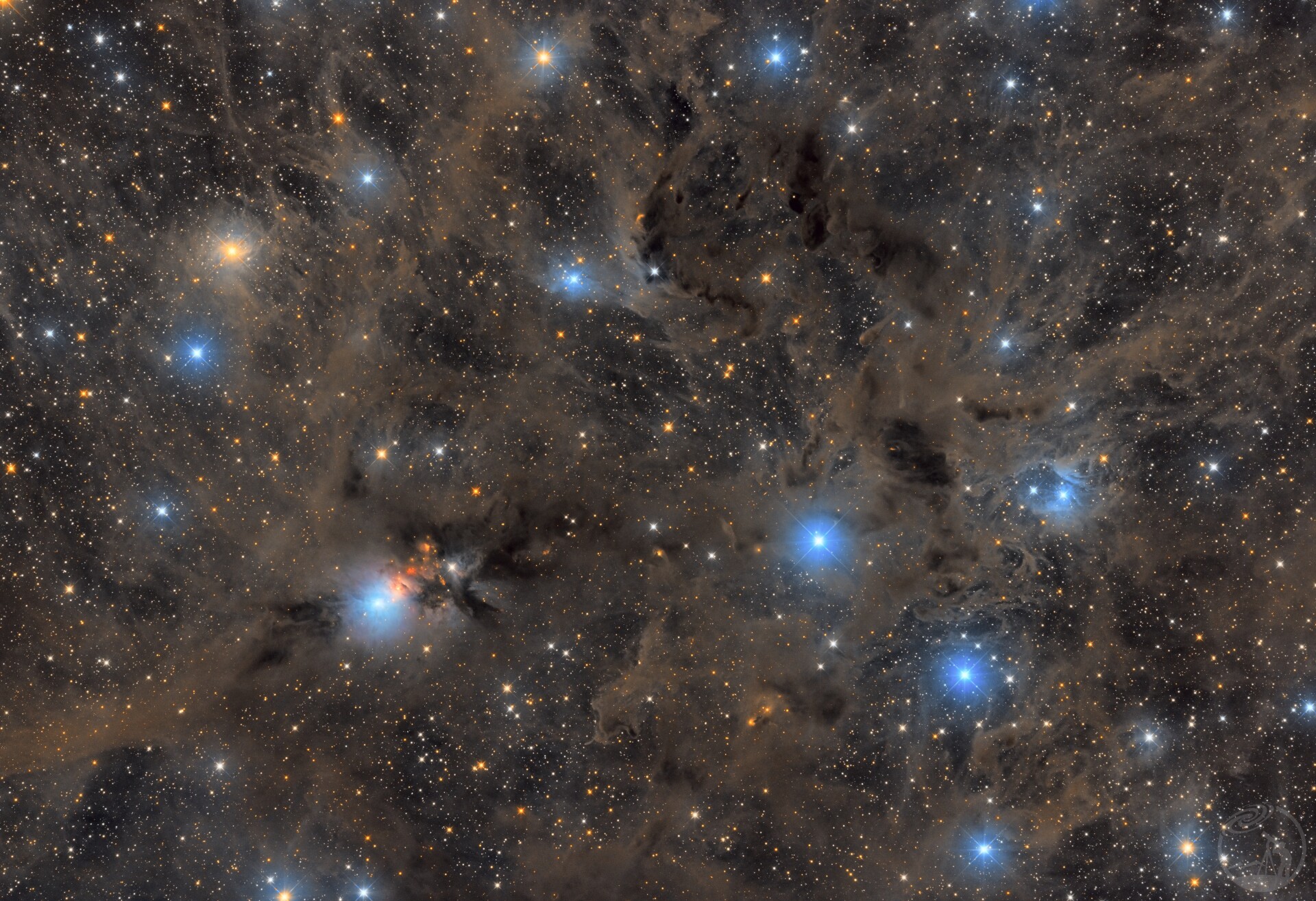 NGC1333与LDN1448/暗云盛宴