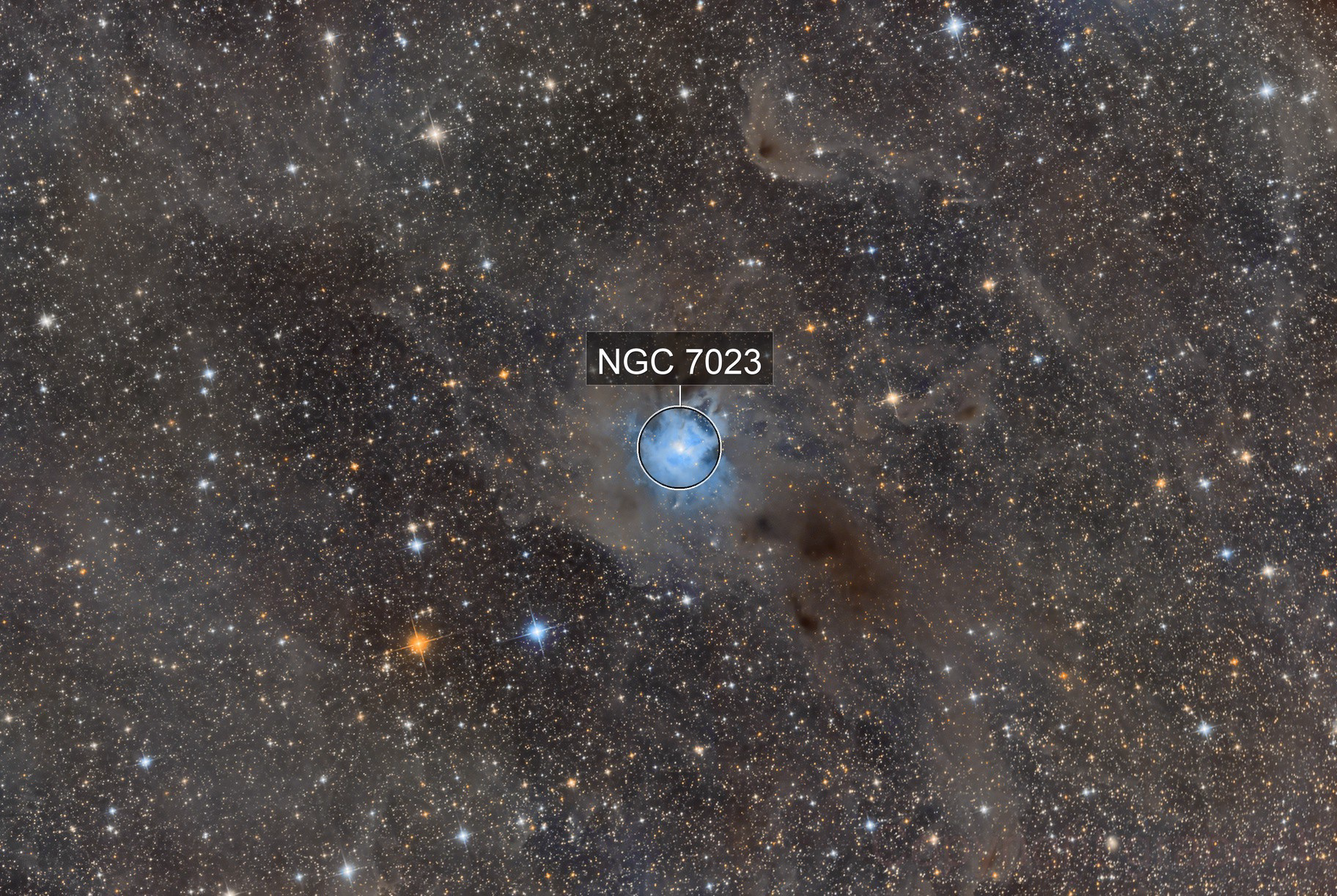 NGC 7023