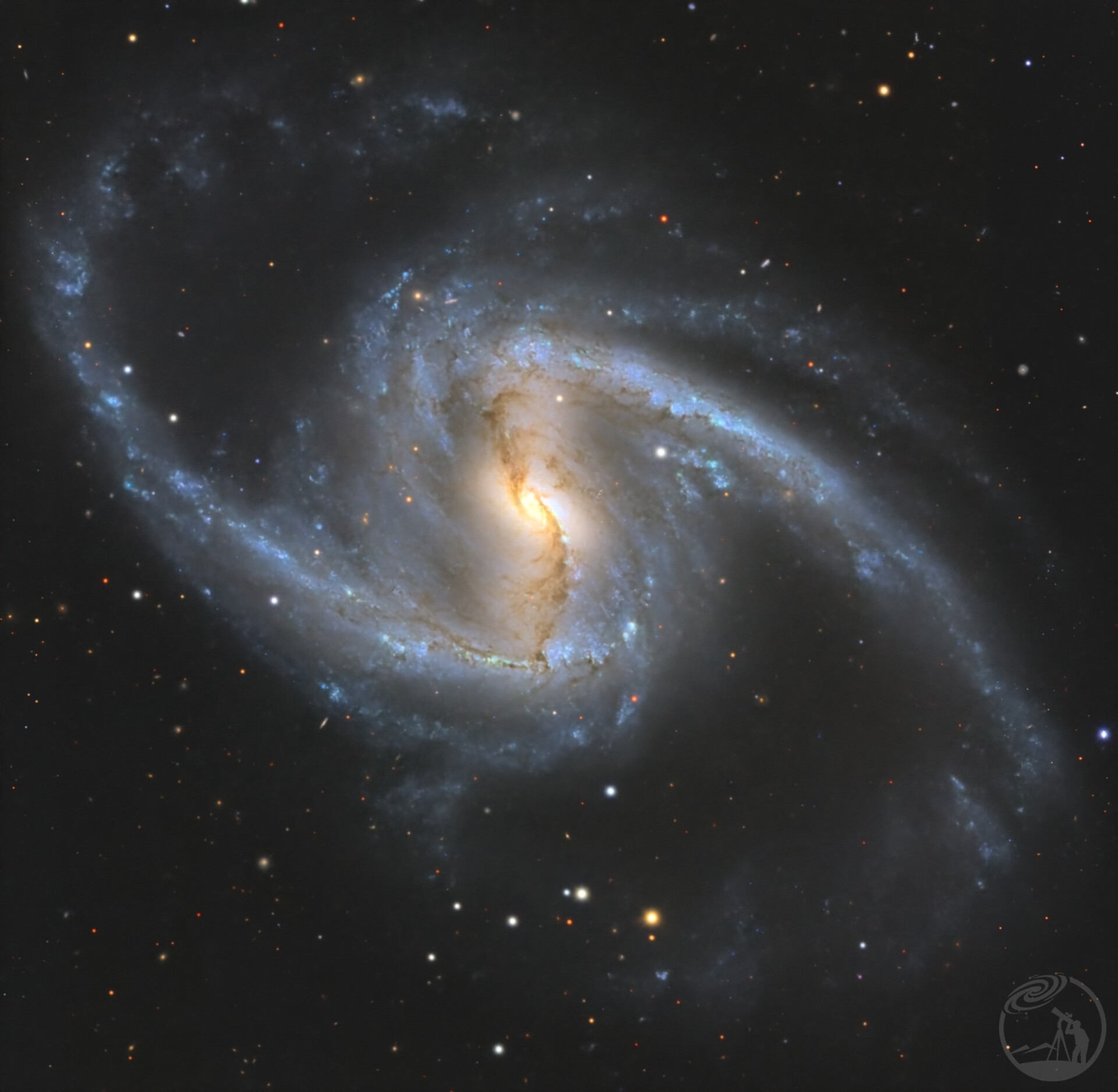 NGC1365-DES数据