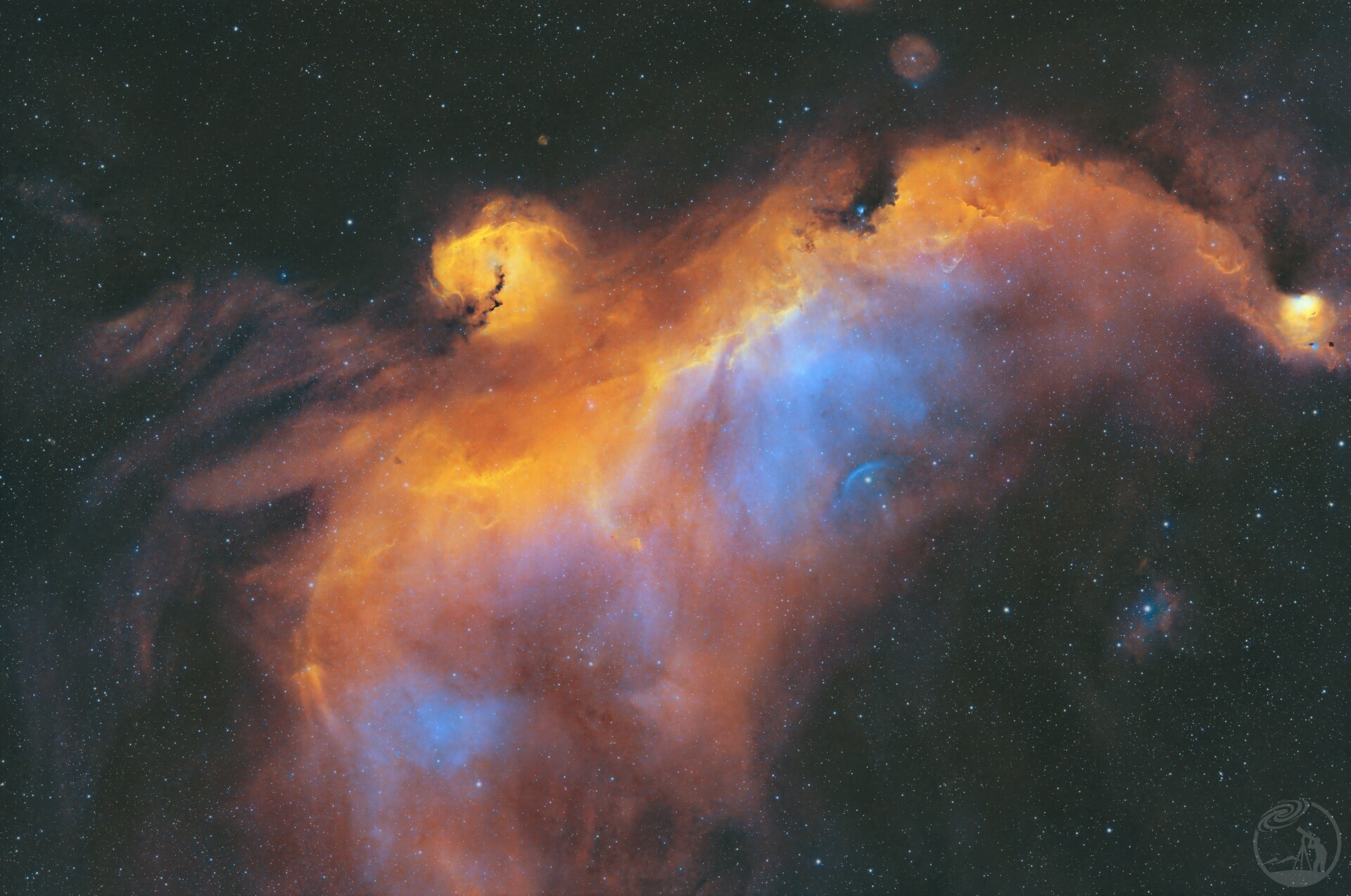 IC2177 海鸥星云