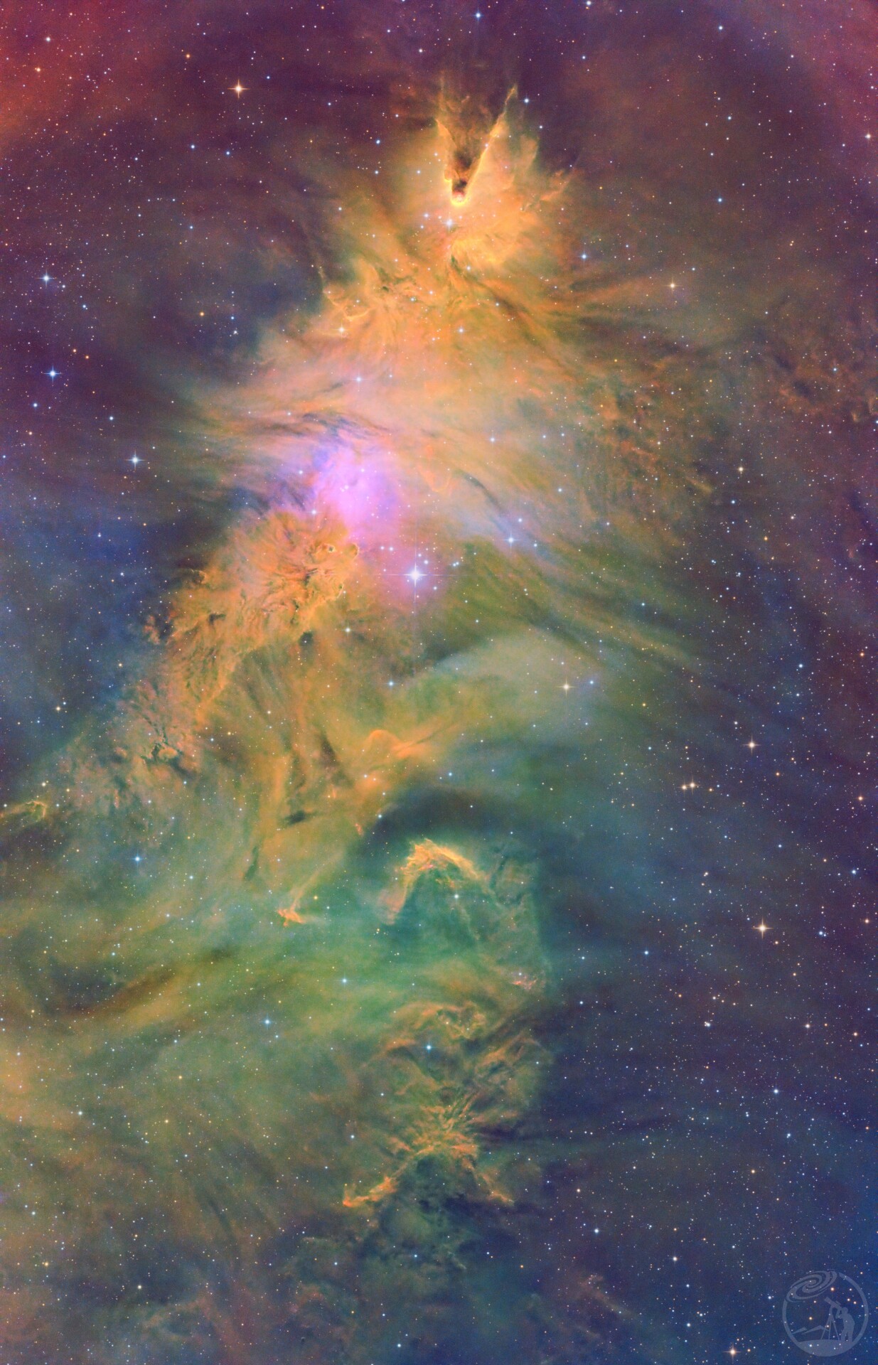 NGC2264 圣诞树星团