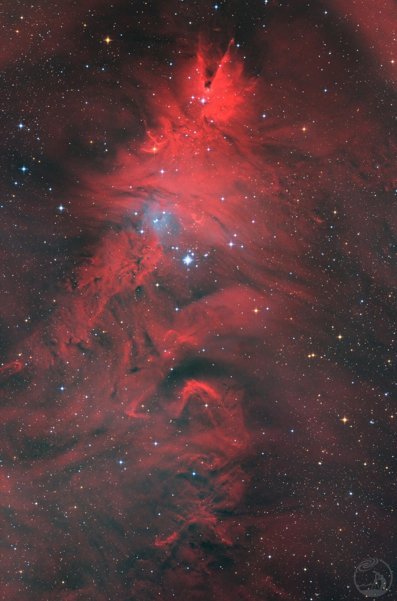 NGC2264 圣诞树