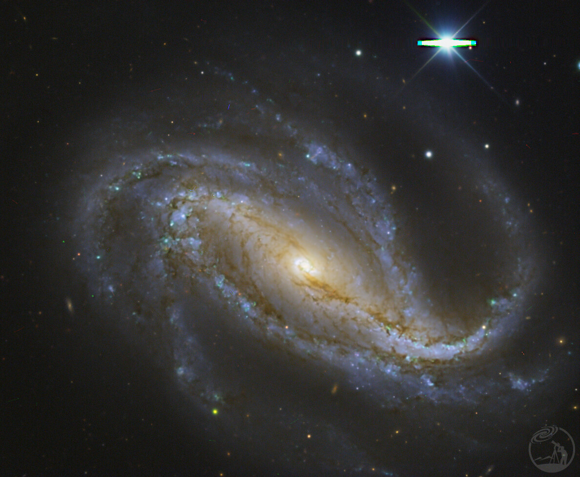 NGC613