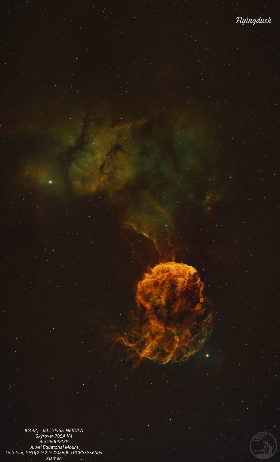 IC443 Jellyfish Nebula