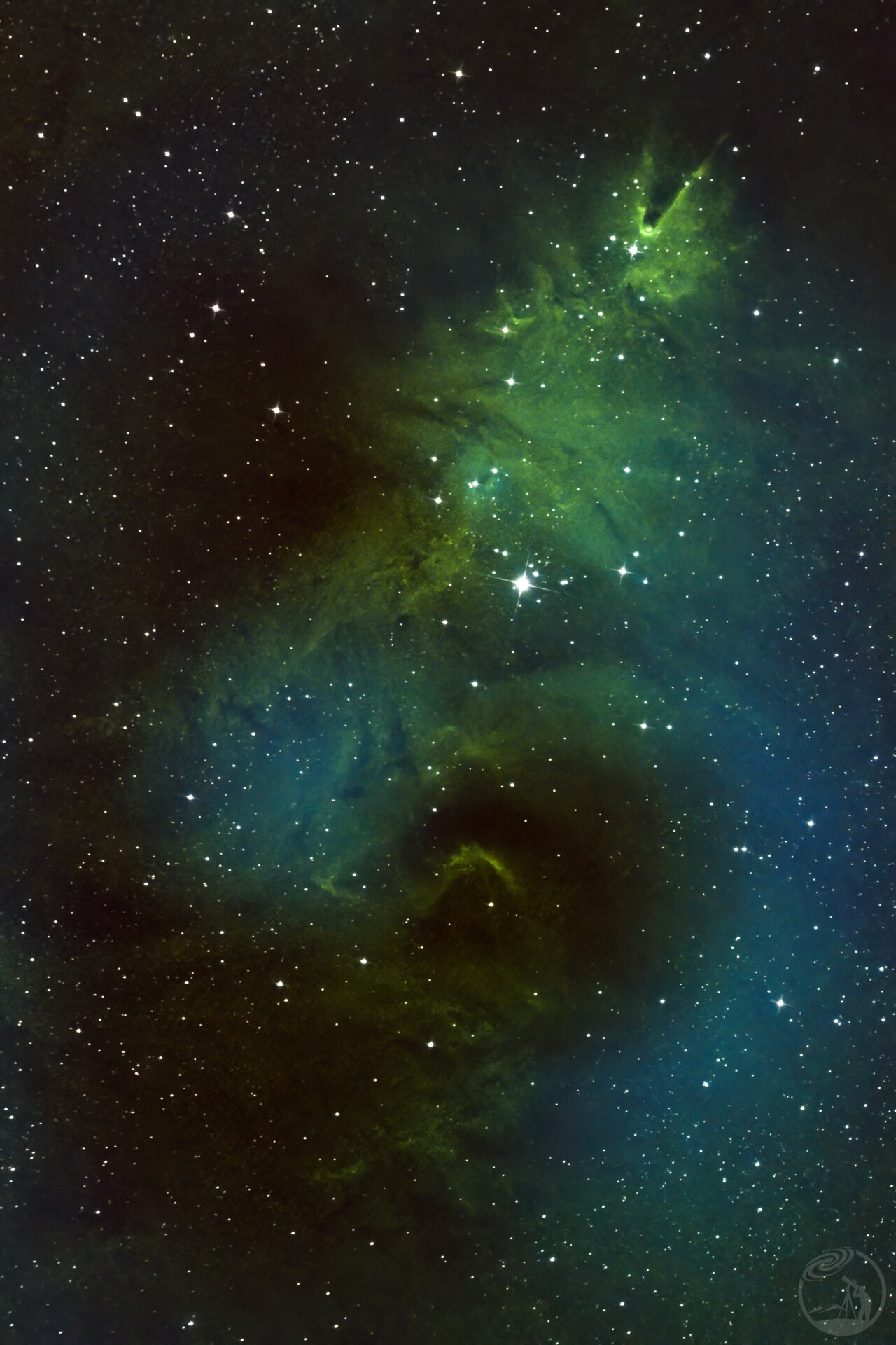 NGC2264圣诞树星云