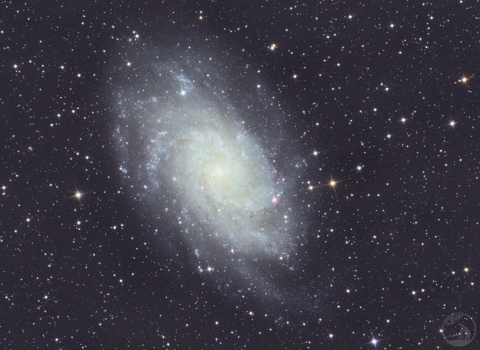 M33