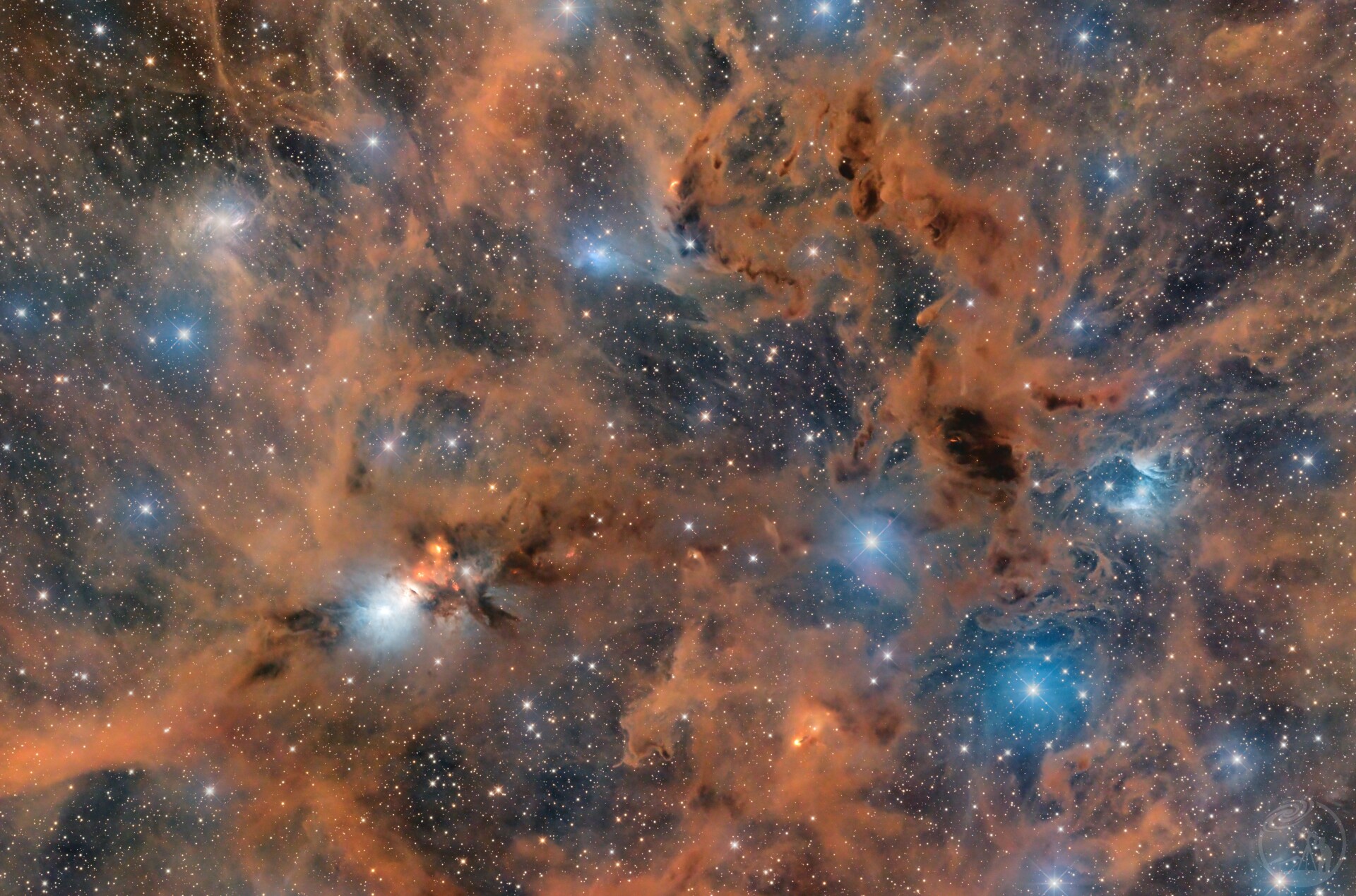 胚胎星云NGC1333