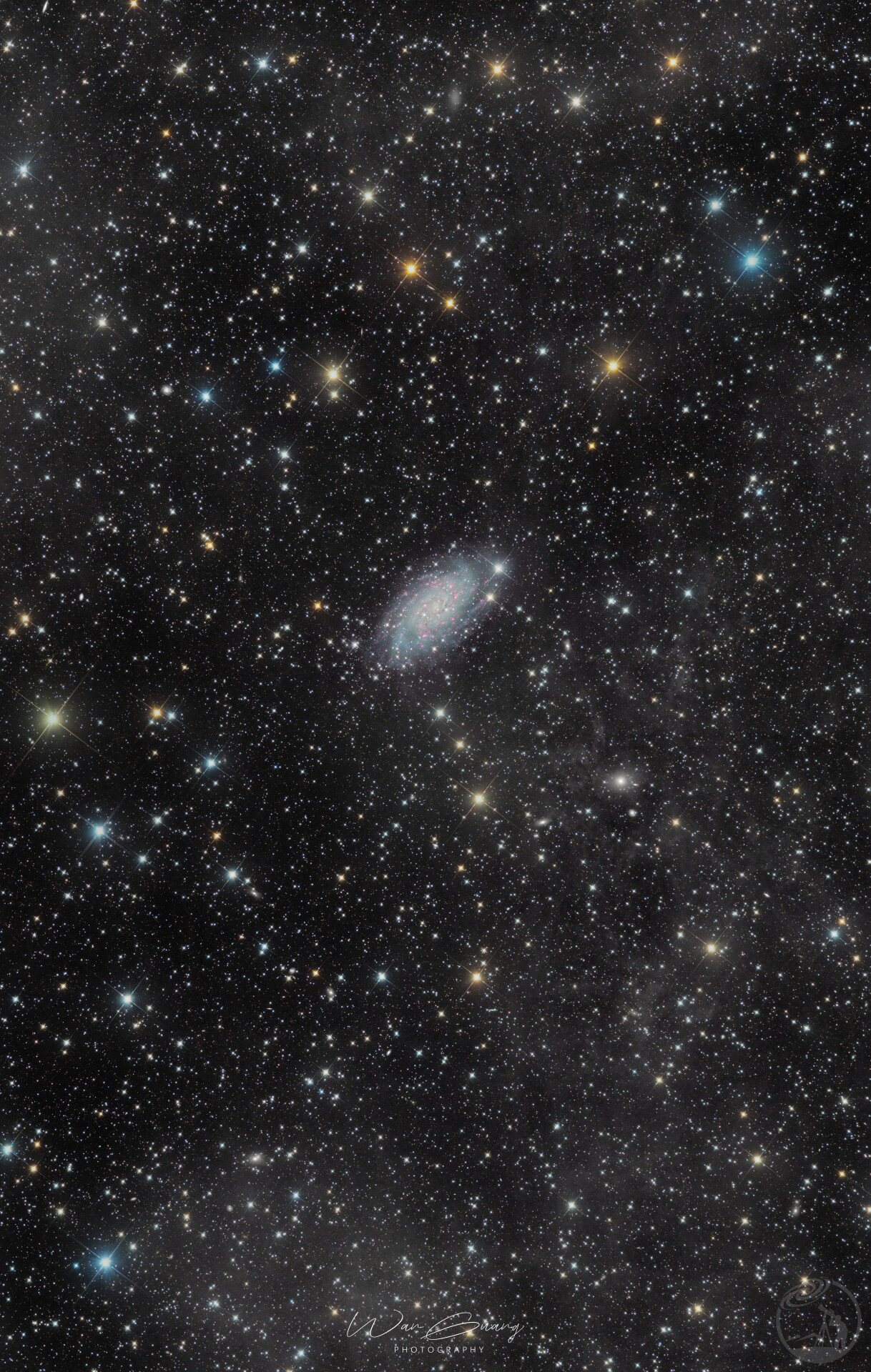 80小时NGC2403广域与IFN