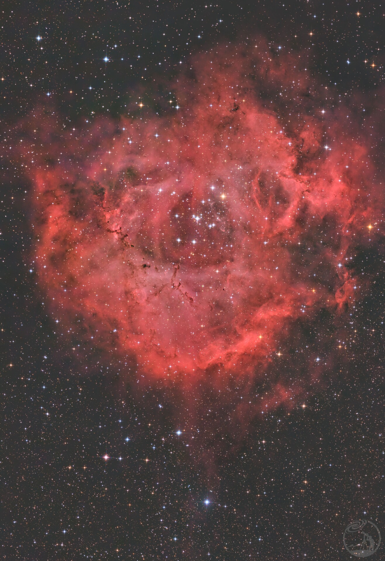 NGC2237玫瑰星云