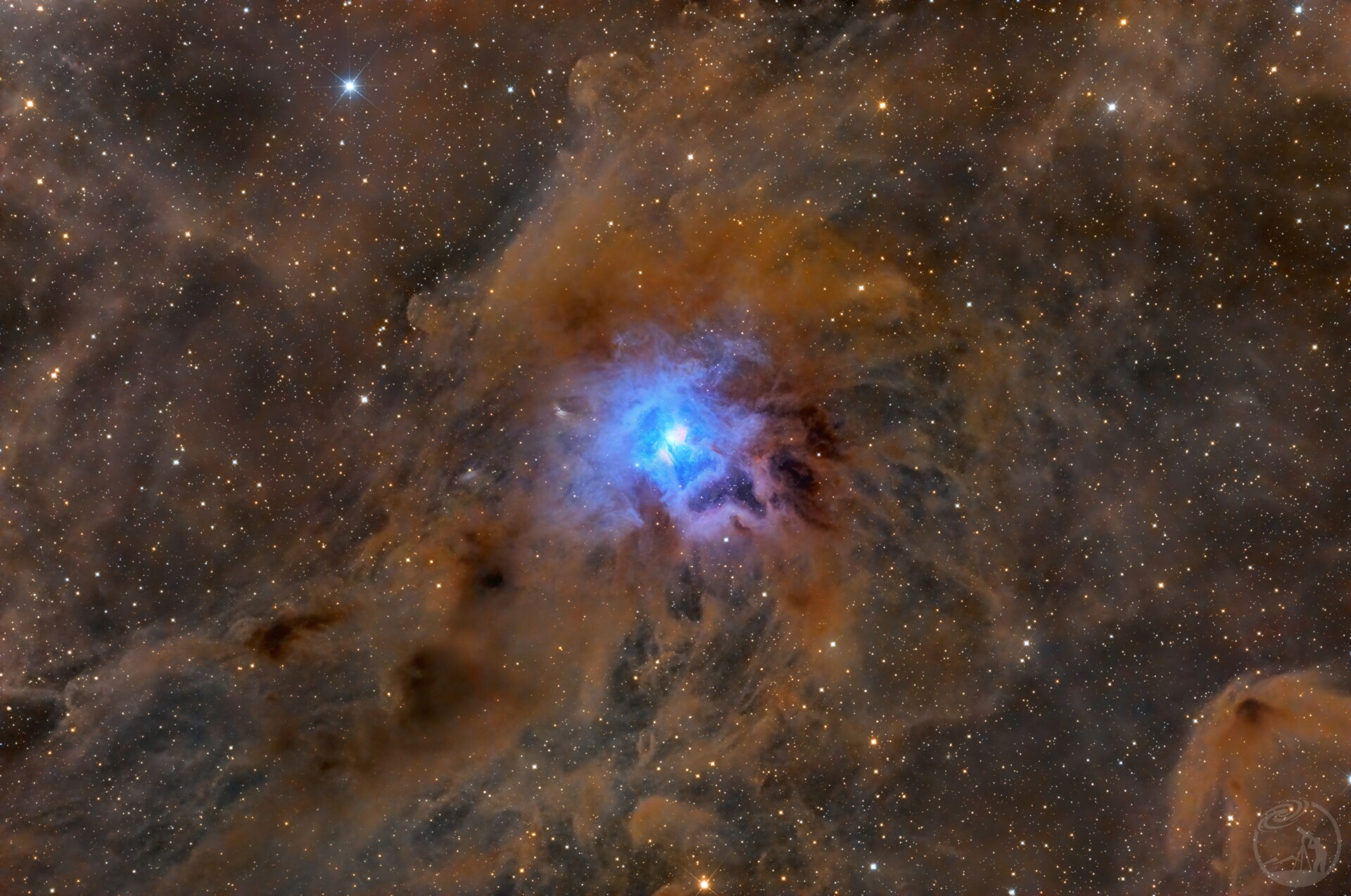 NGC7023鸢尾花