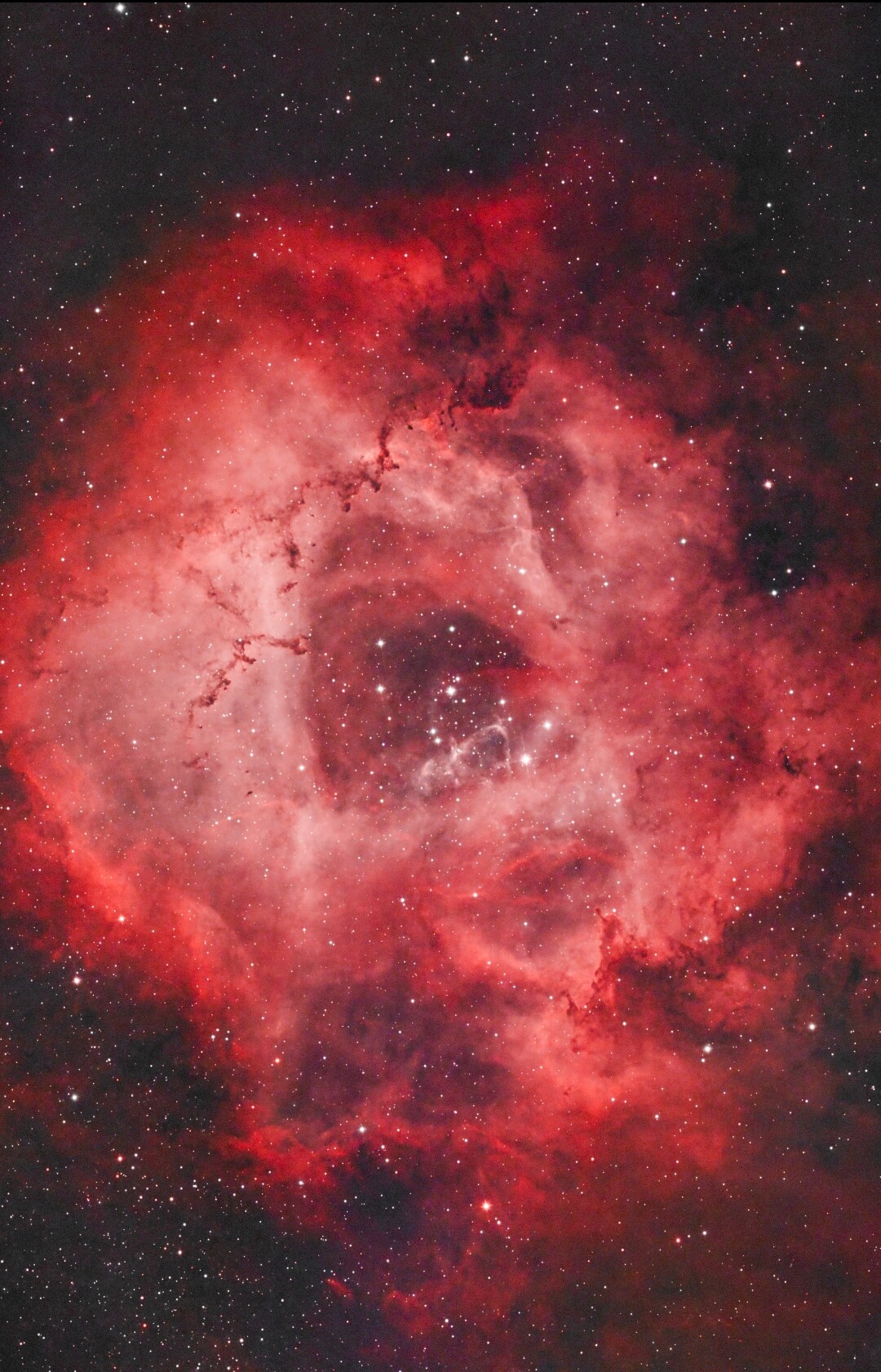 7小时 双窄 玫瑰星云 NGC2237