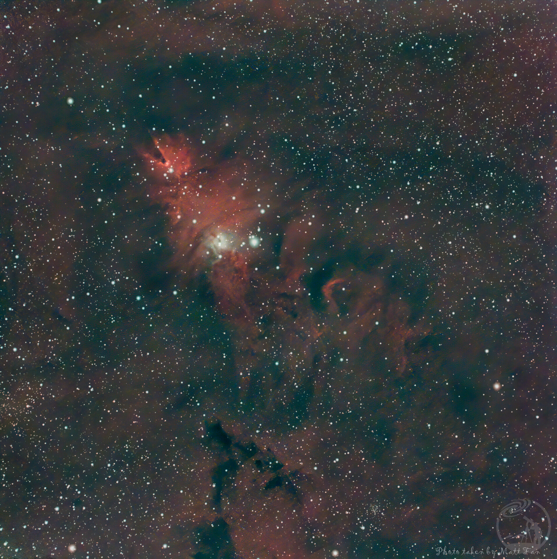 八级区的NGC2264圣诞树星云