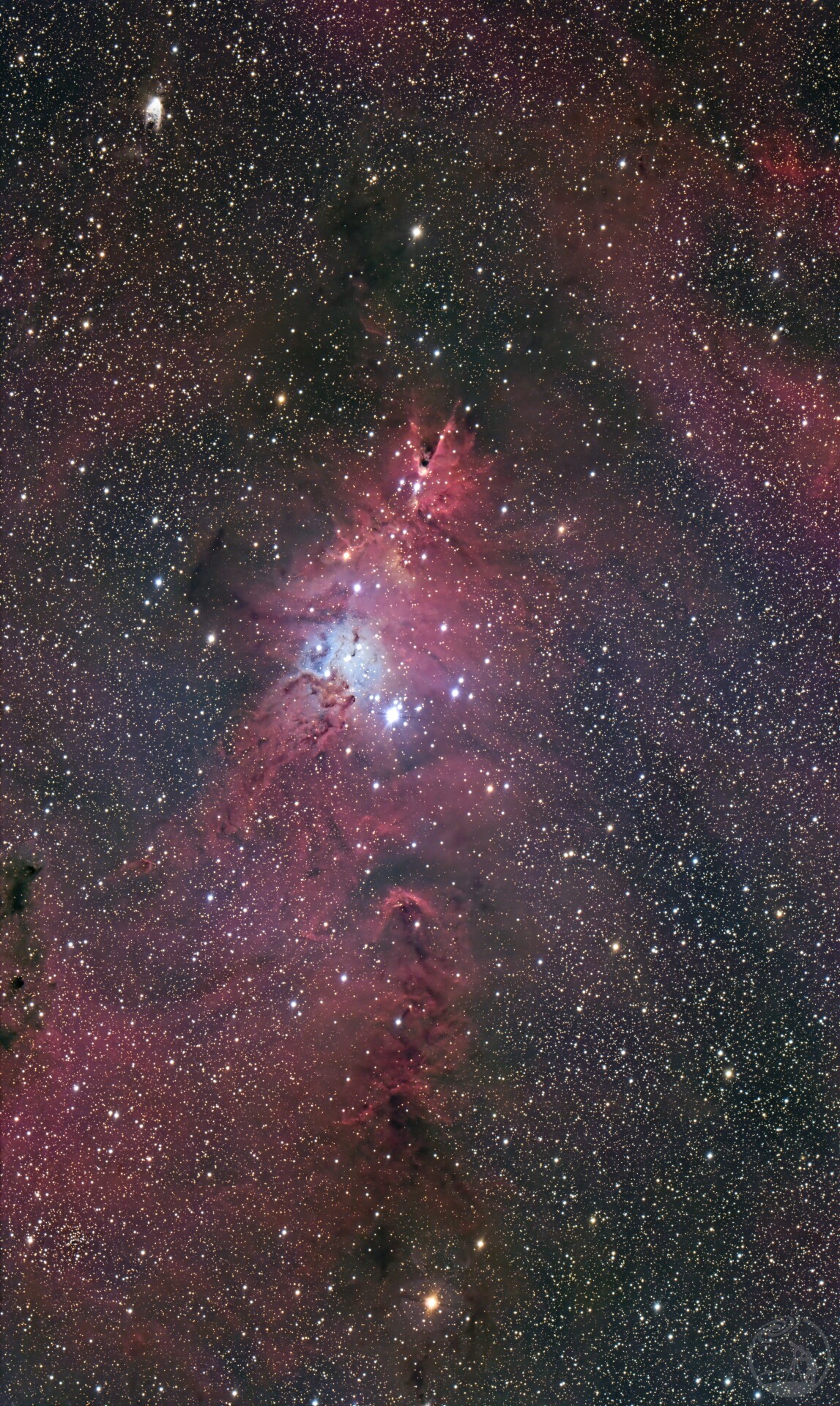 远程台ngc2264圣诞树