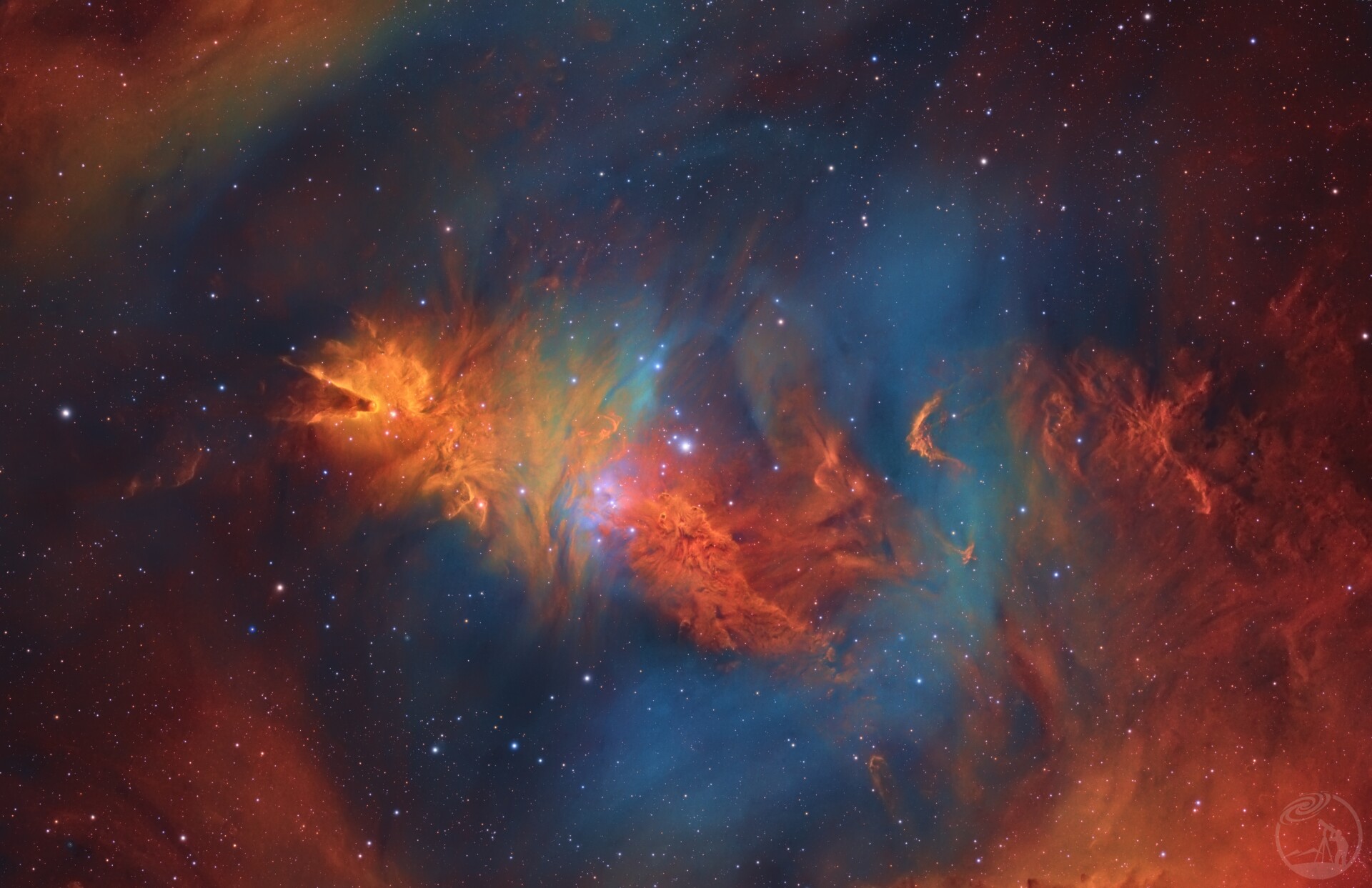 圣诞树星云