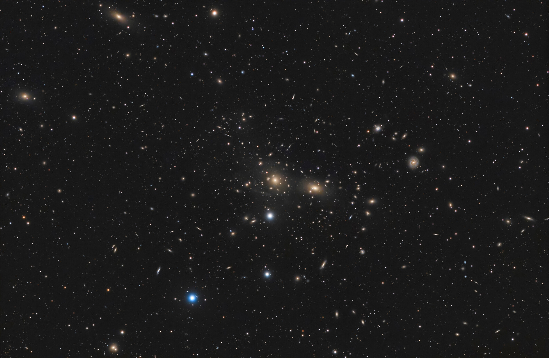 Abell1656 后发座星系团