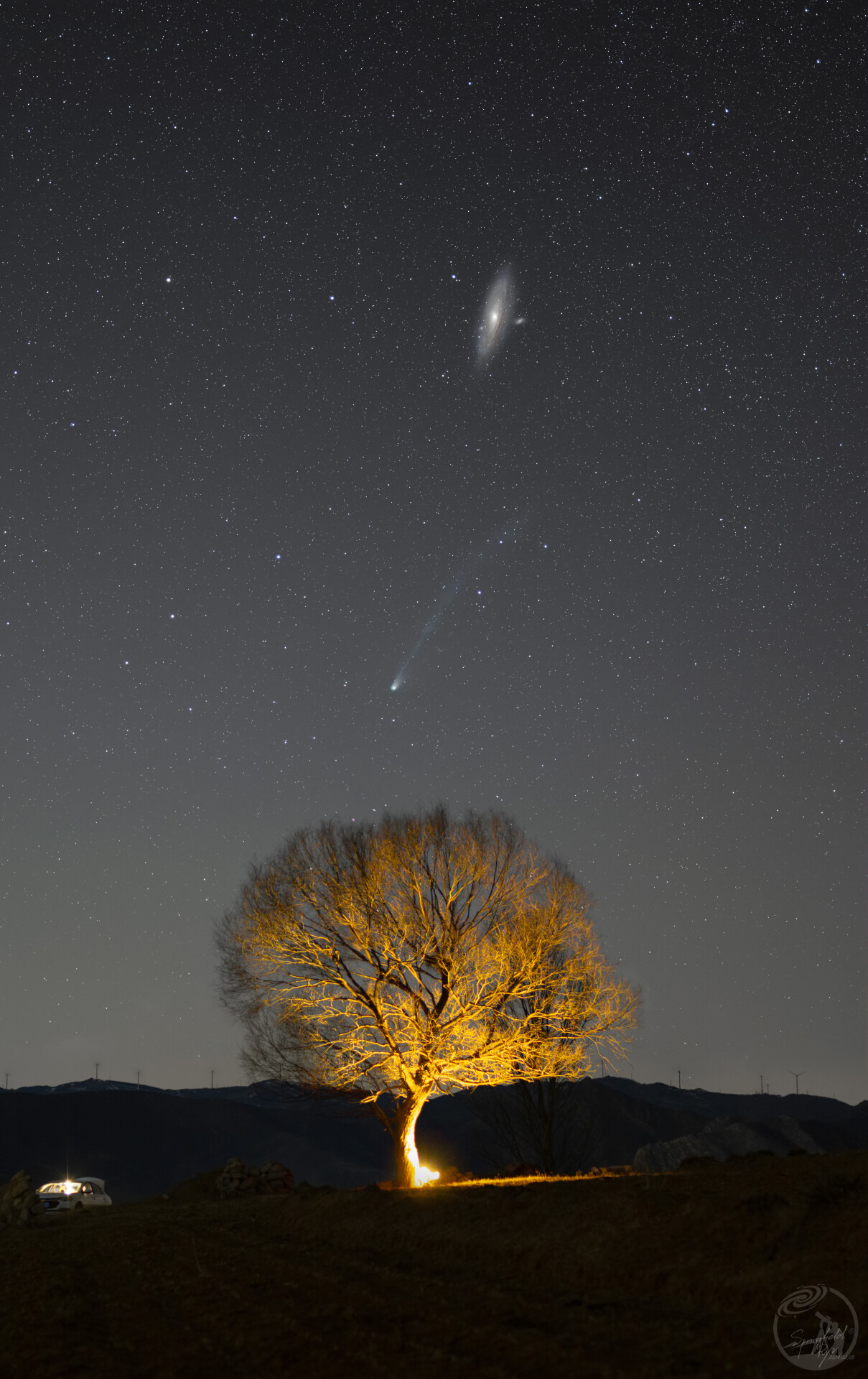 M31，12p与孤树