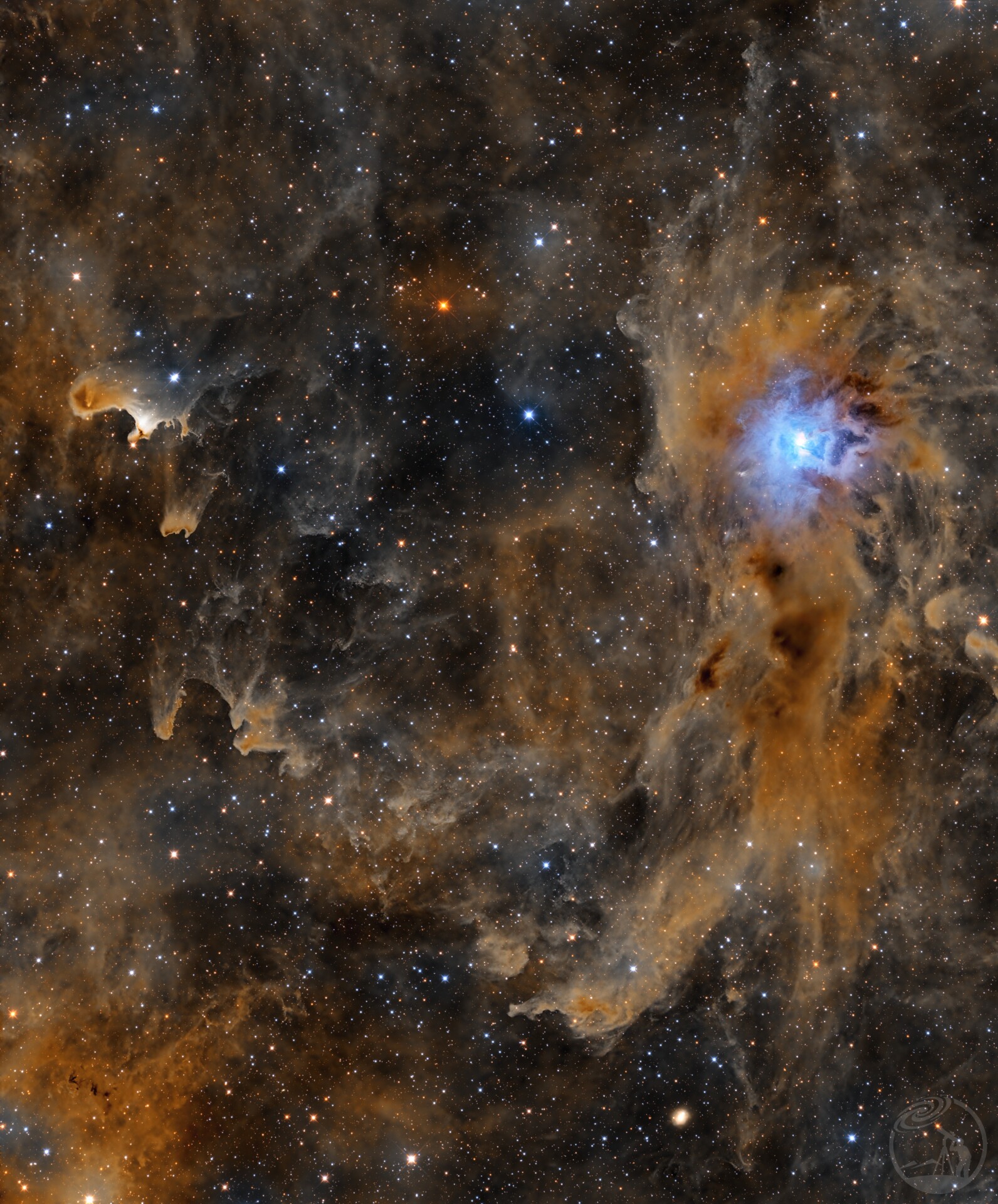 NGC7023鸢尾花与VDB141鬼魂星云