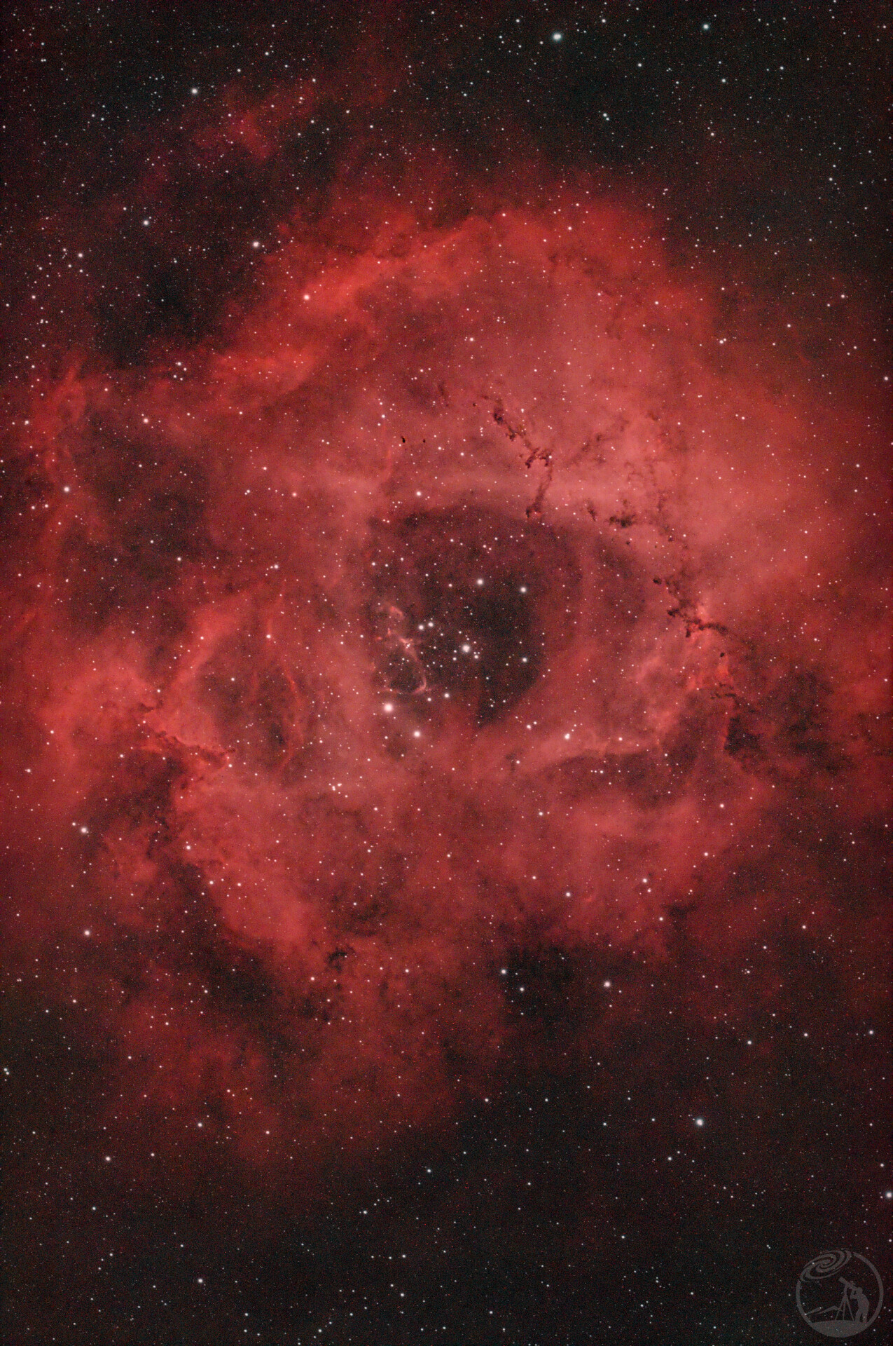 NGC2244