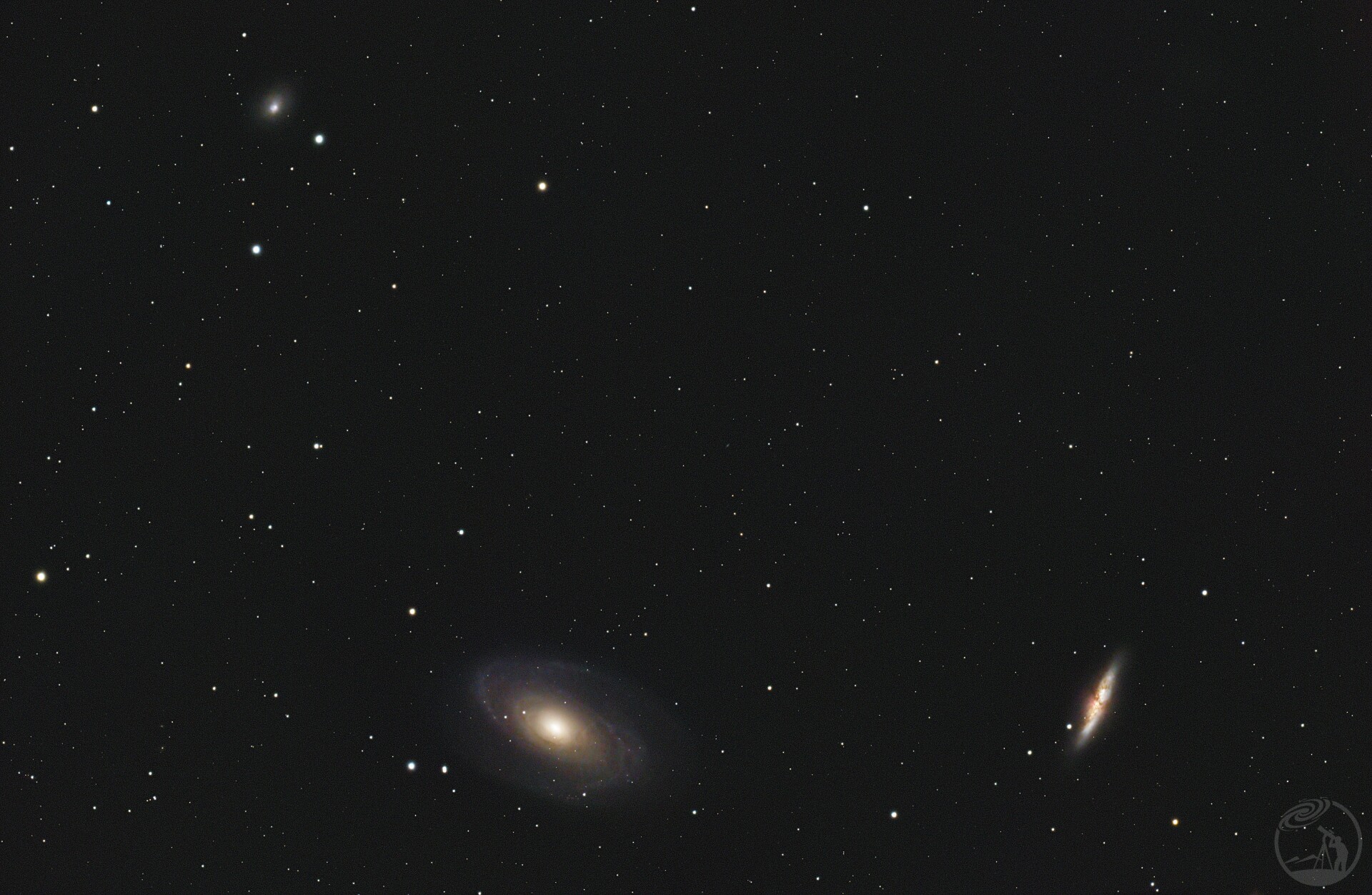 M81