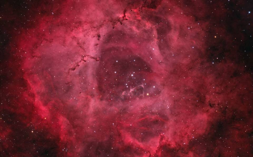 二级区玫瑰星云