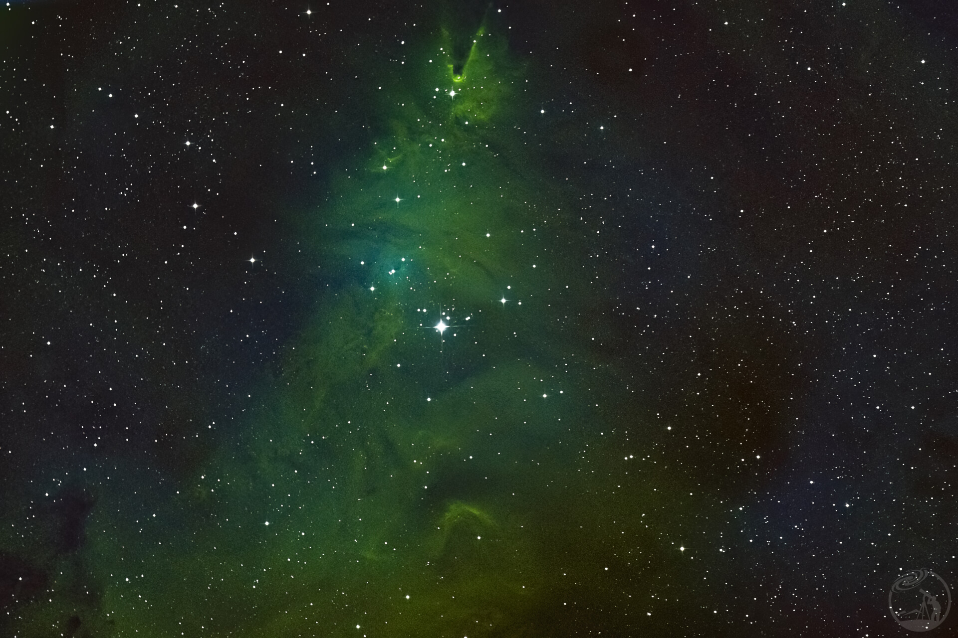 NGC2264圣诞树星云🎄