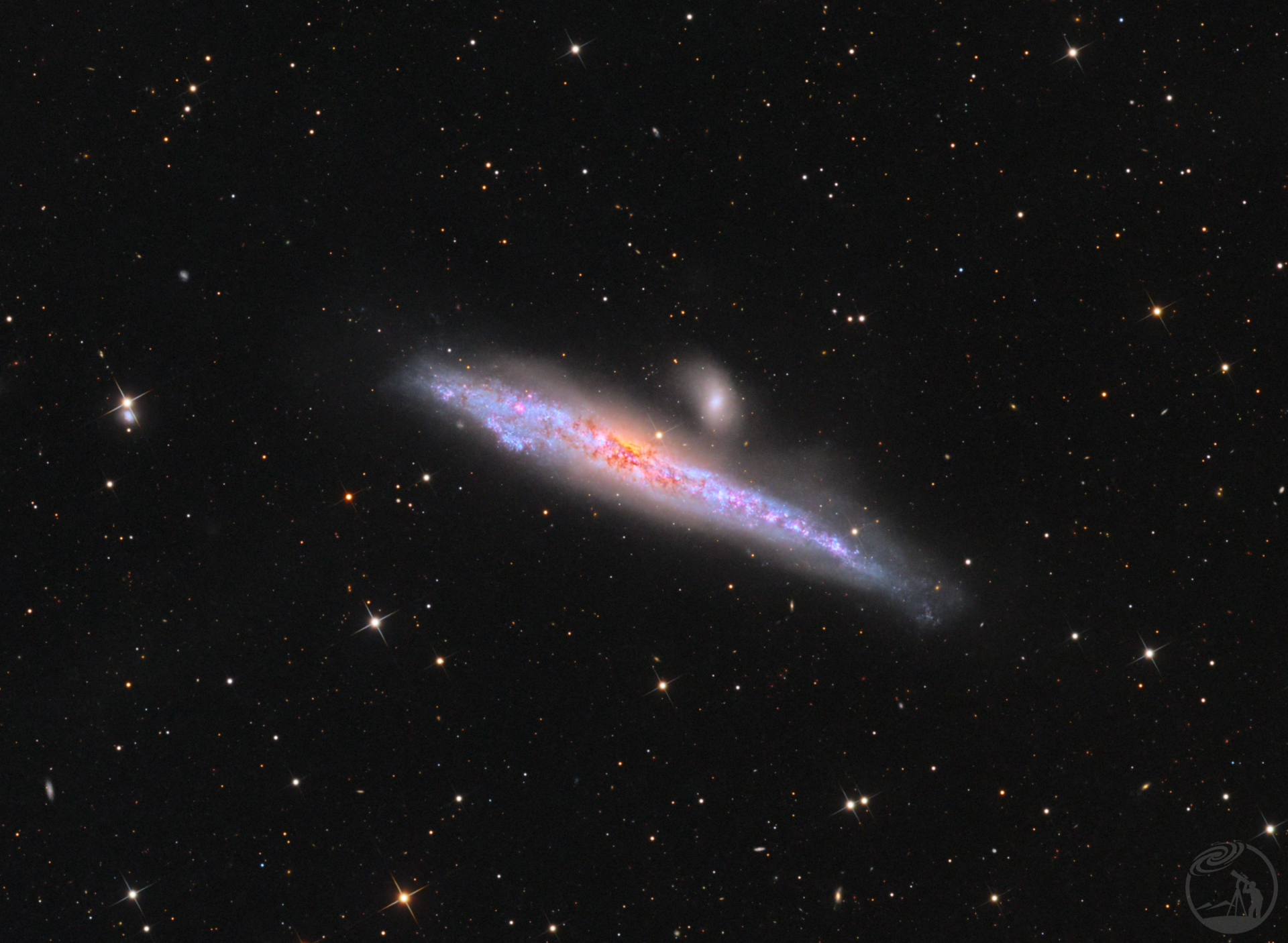 NGC4631鲸鱼星系