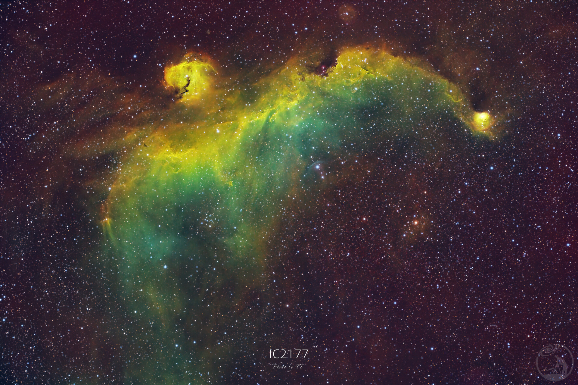 IC2177海鸥星云