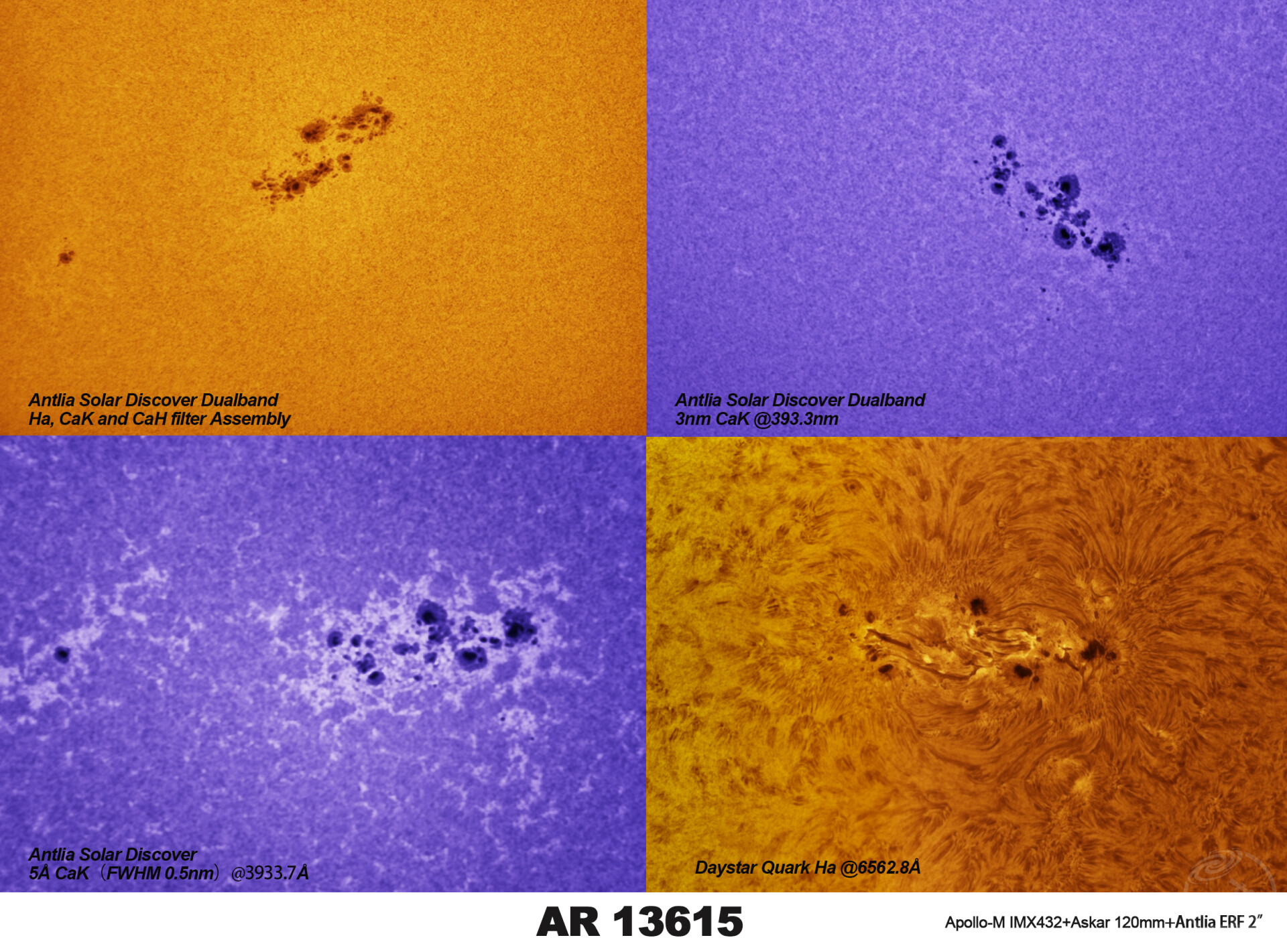不同波段下的太阳—黑子群AR13615