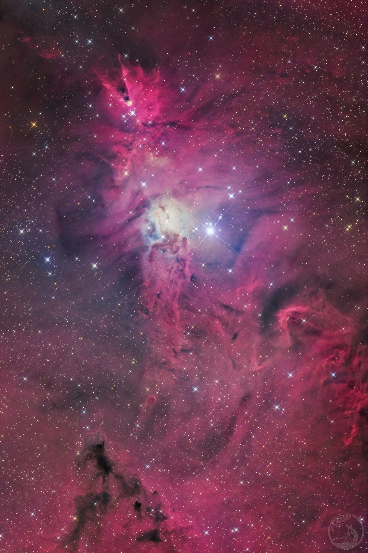 NGC2264圣诞树星云