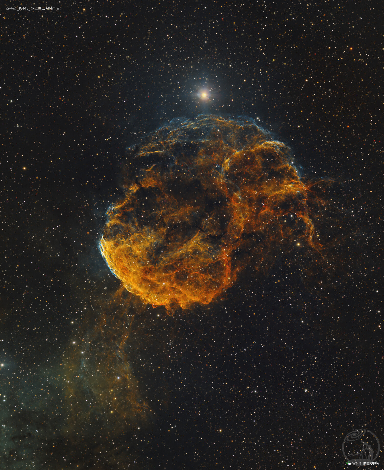 双子座_IC443_水母星云604mm