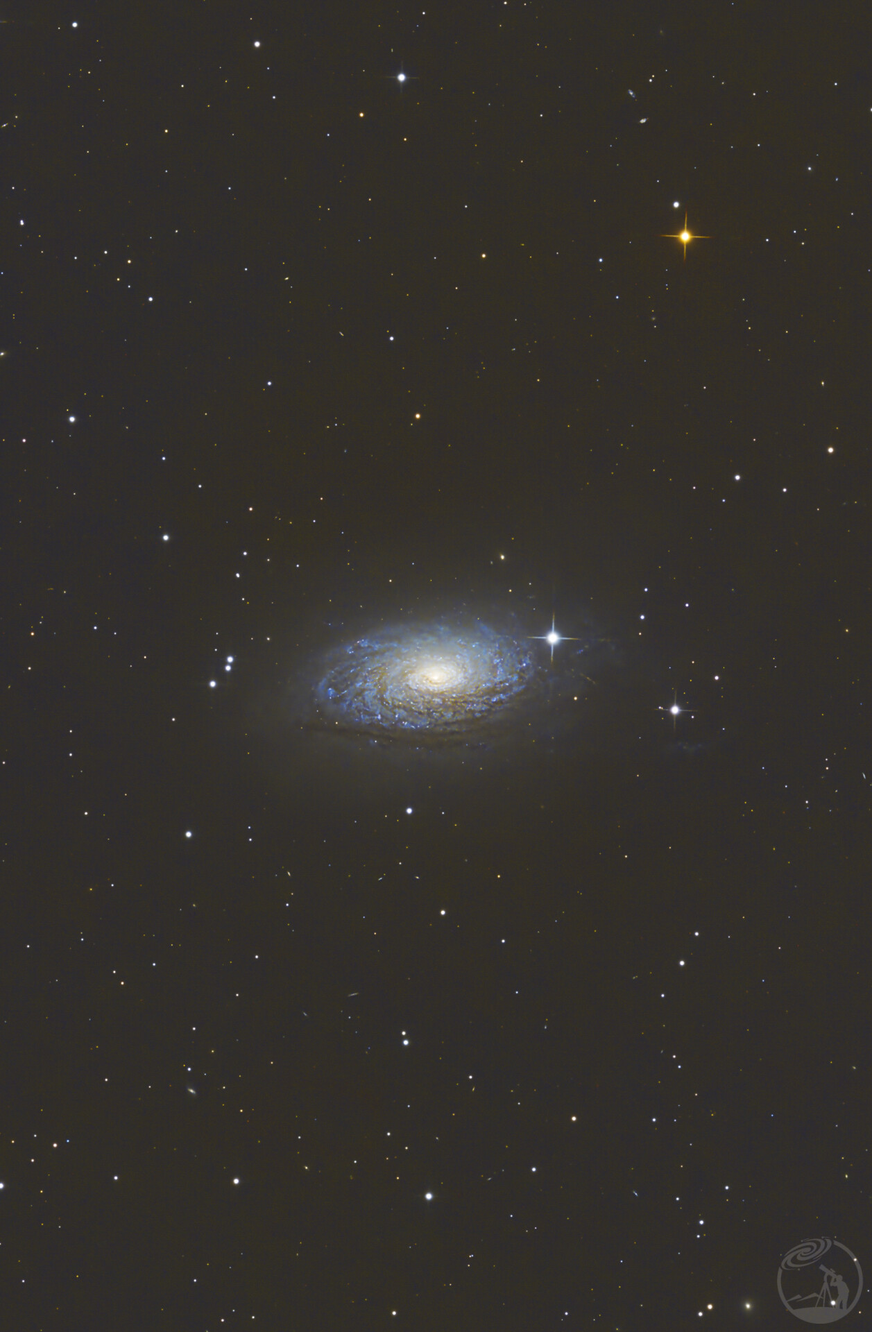 M63-向日葵星系